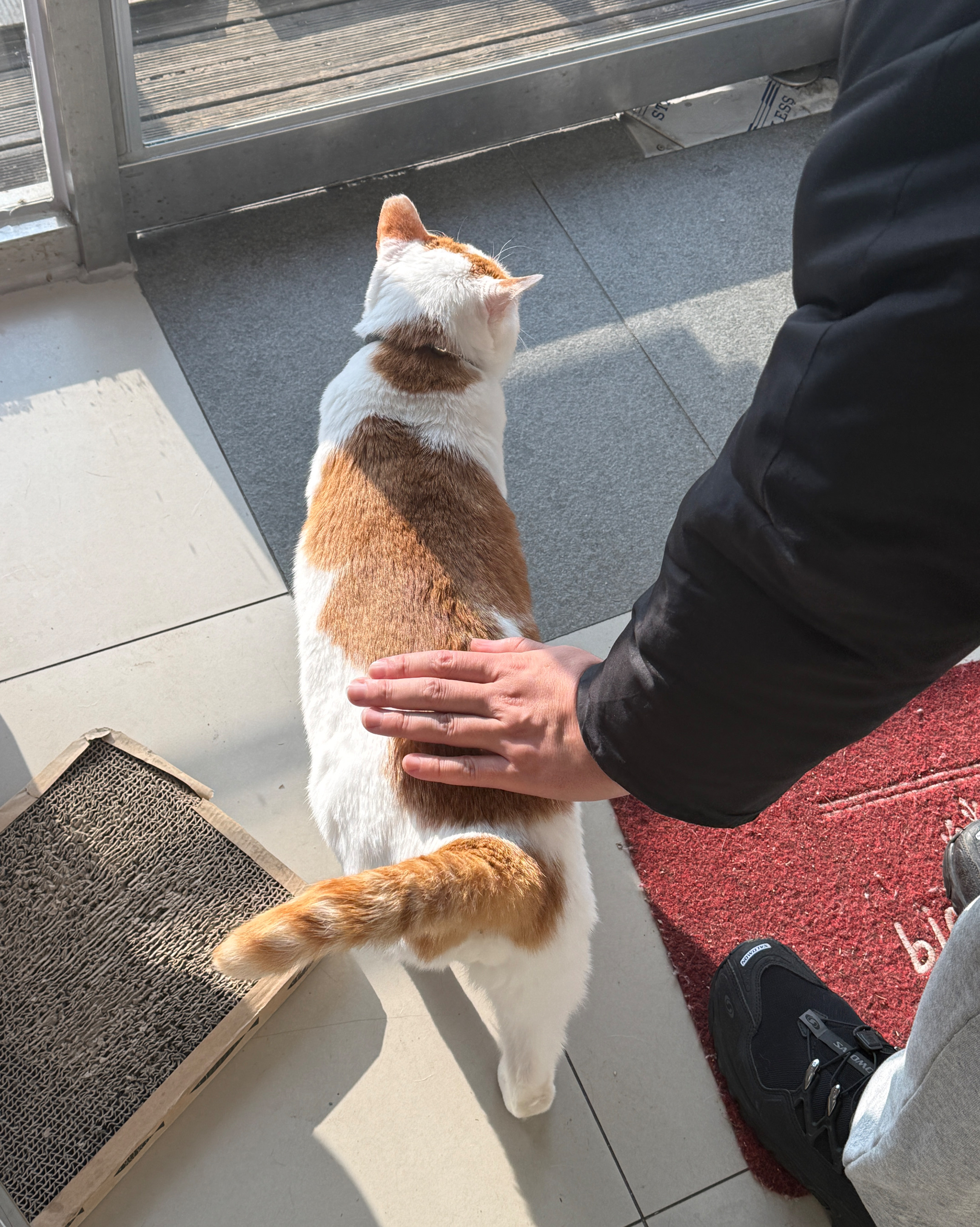 리뷰 사진 3