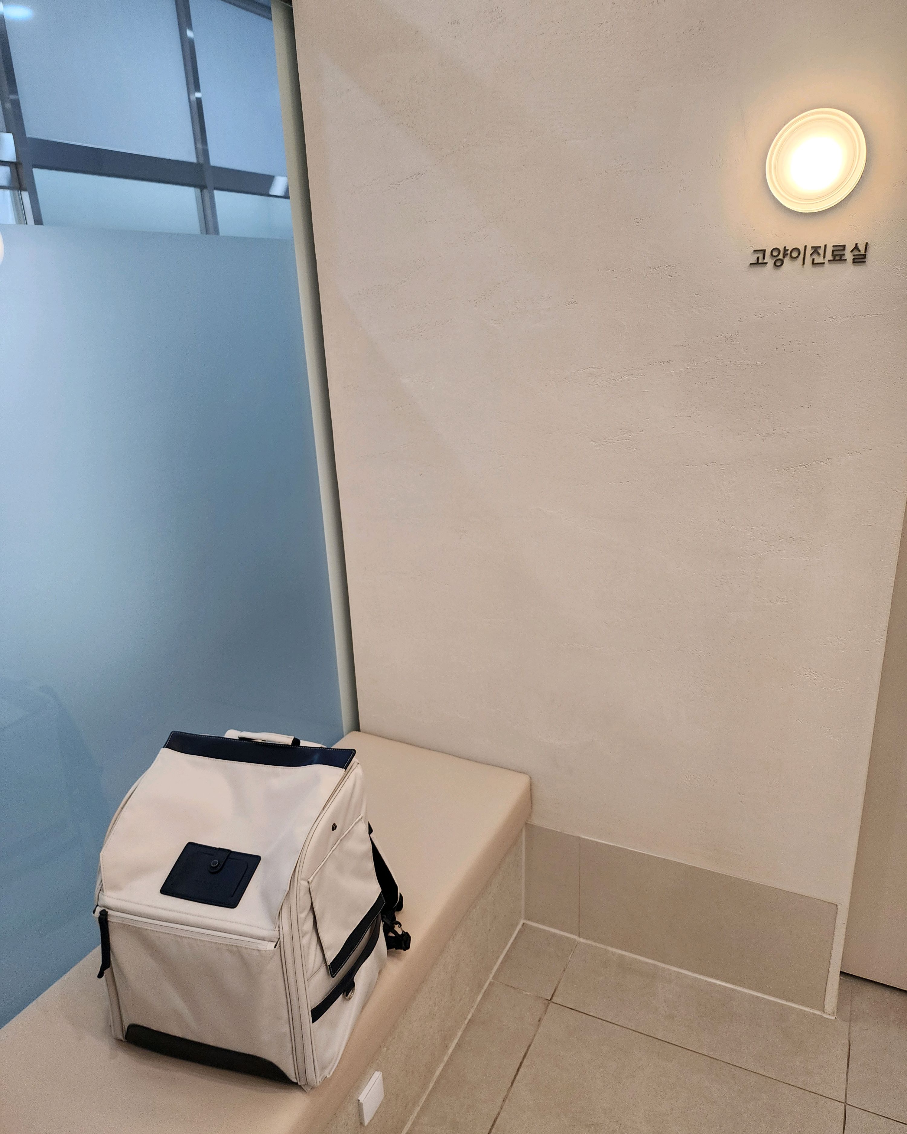 씽씽 동물의료센터 사진 5