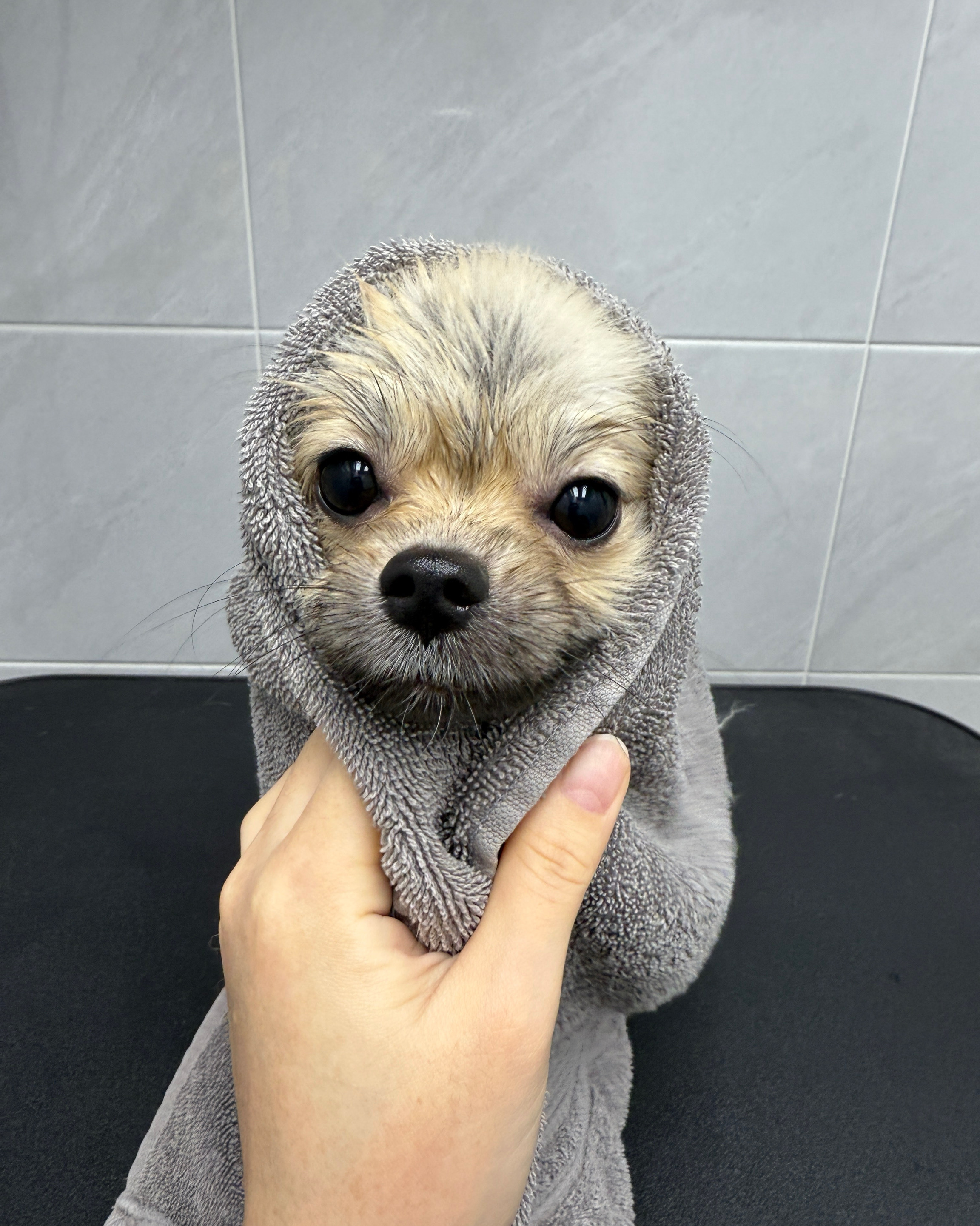 숲속노을 동물병원 사진 2