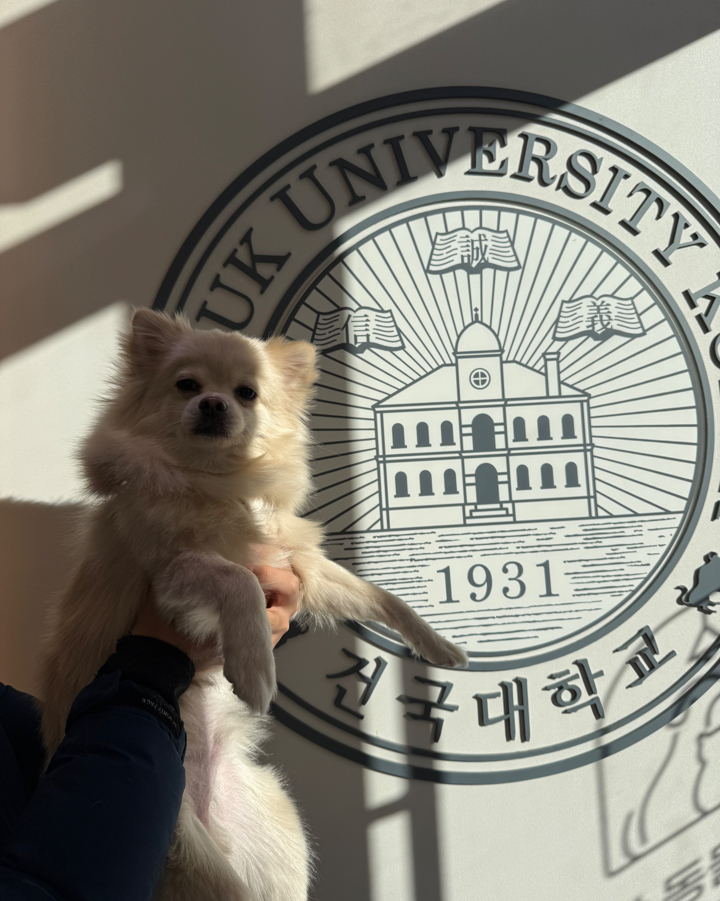 강동 아이안동물의료센터 사진 5
