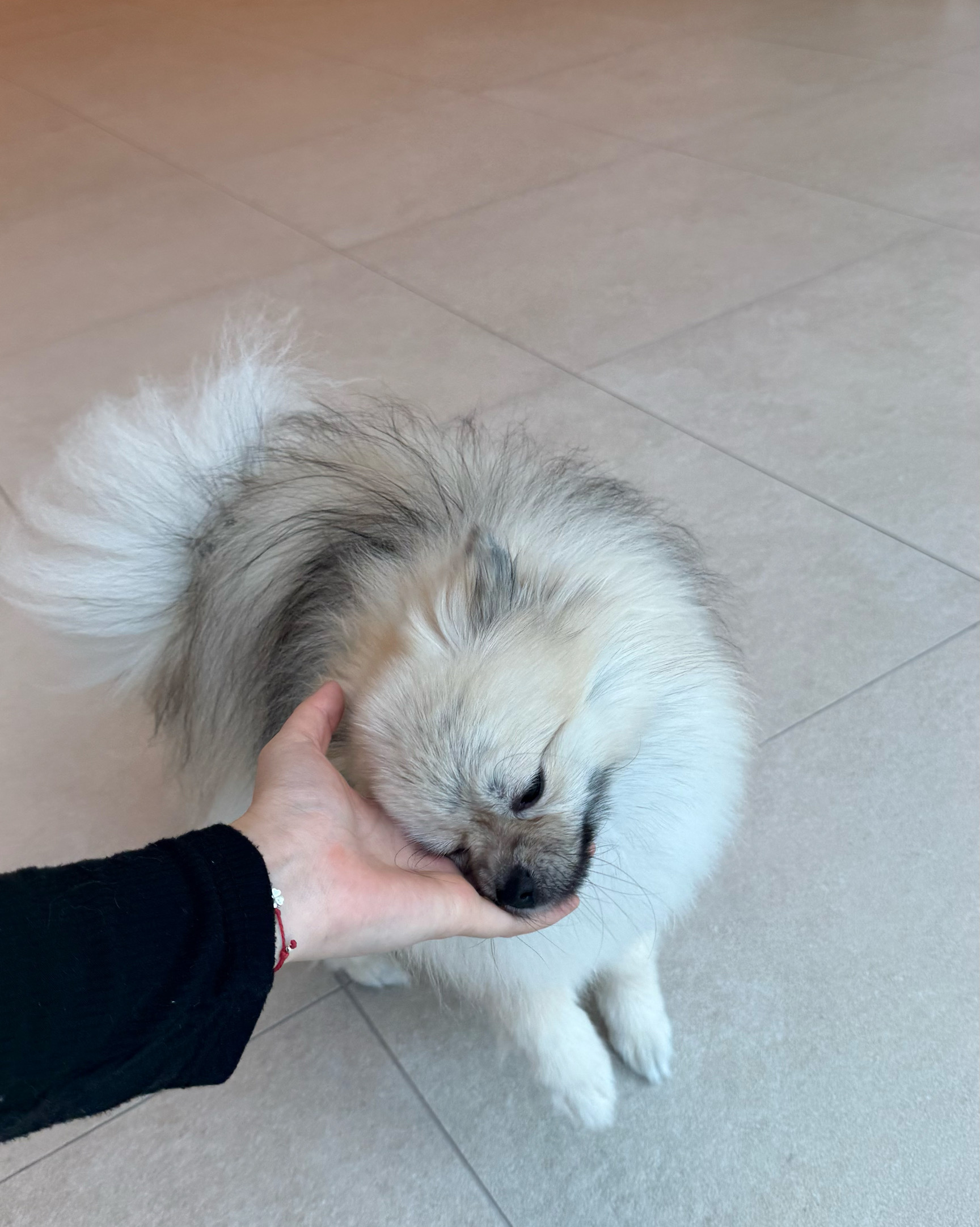 리뷰 사진 3