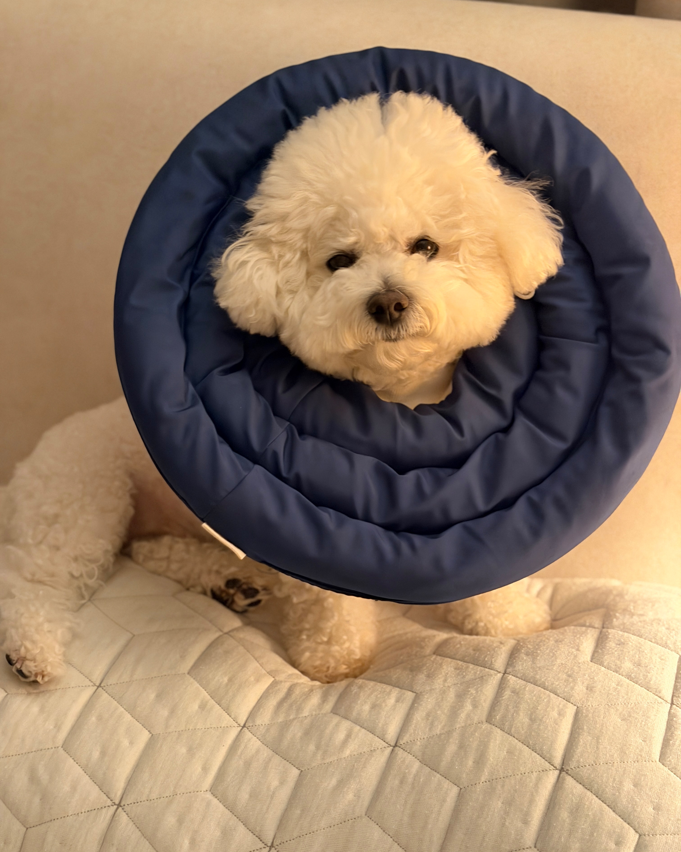 리뷰 사진 1