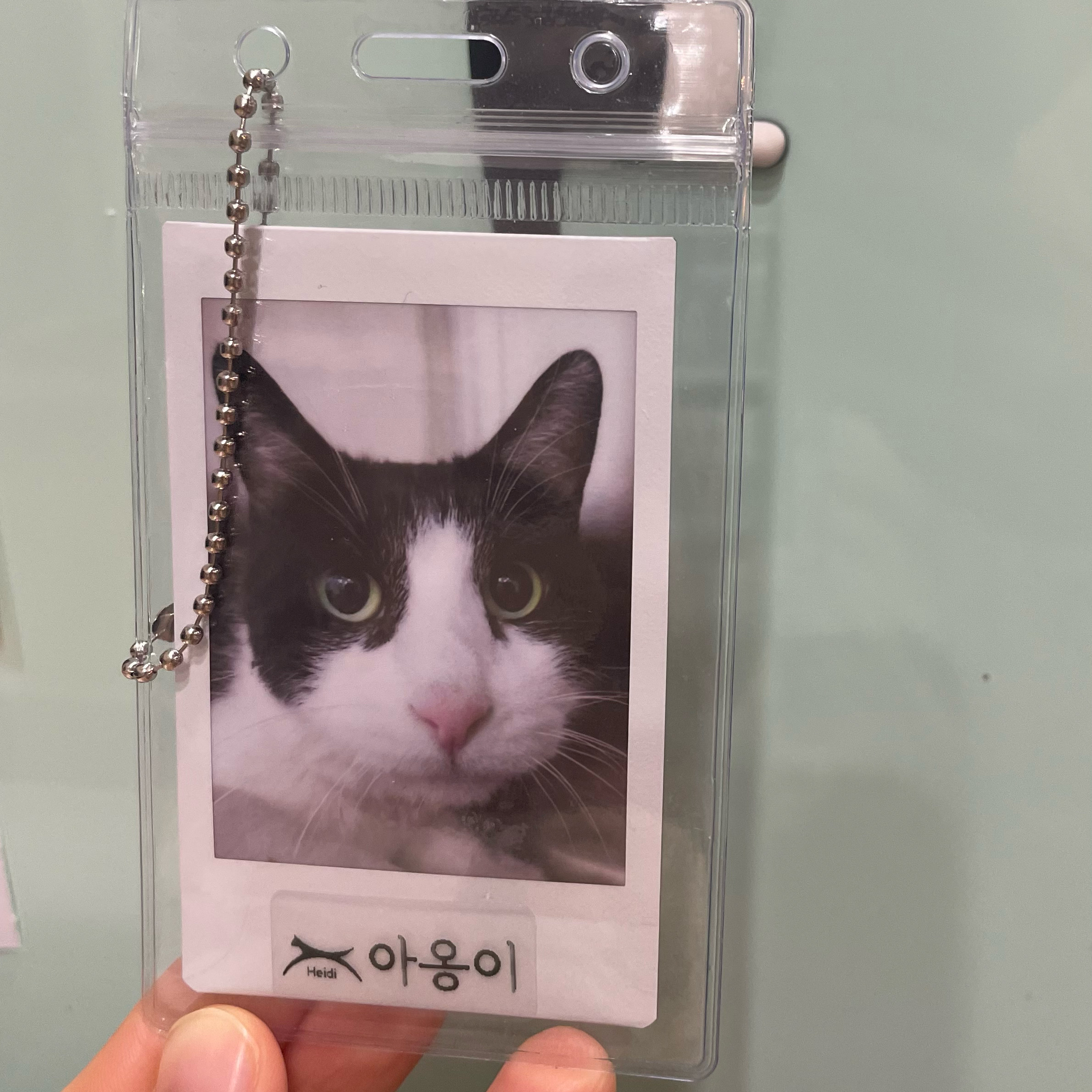 리뷰 사진 3
