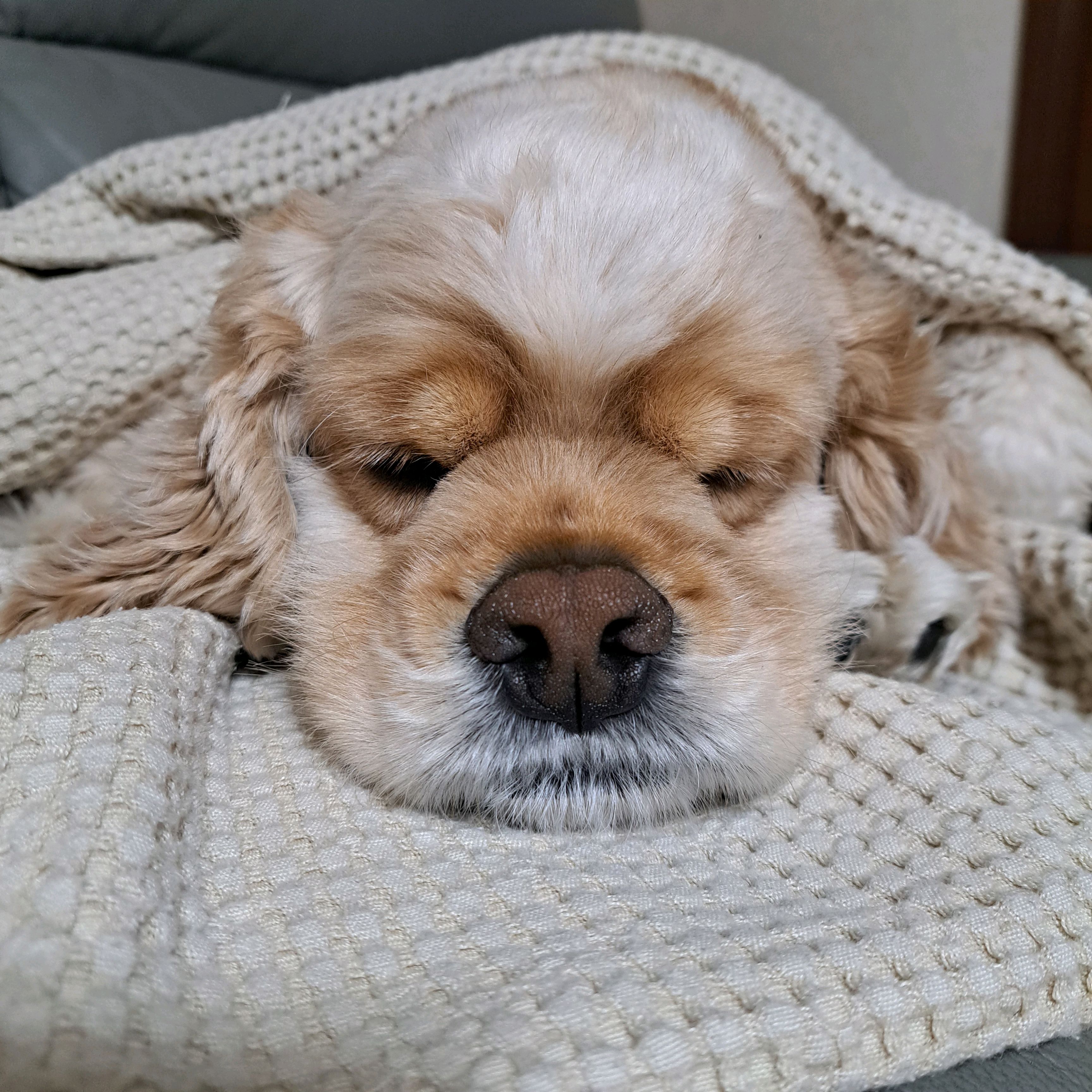 리뷰 사진 1