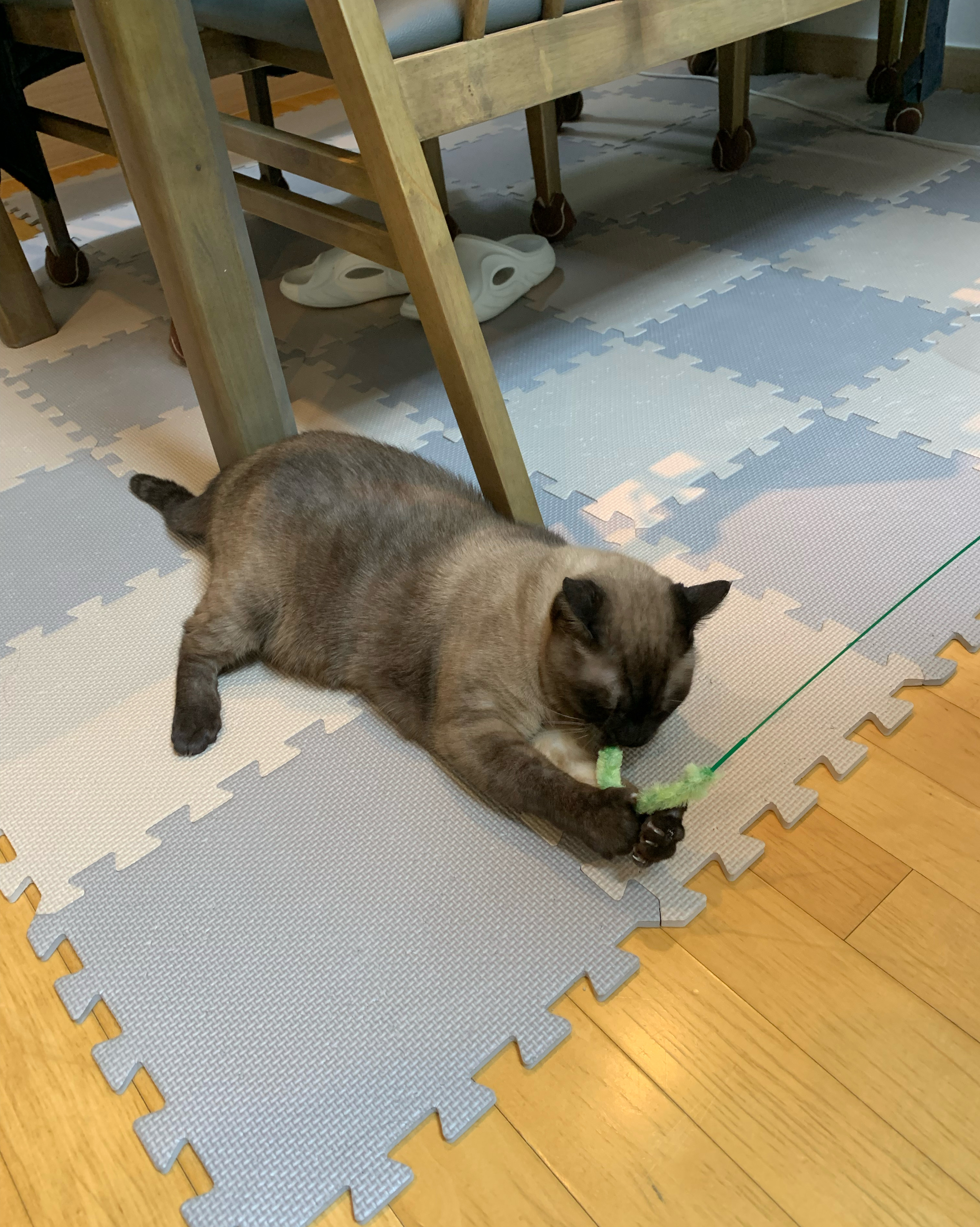 리뷰 사진 1