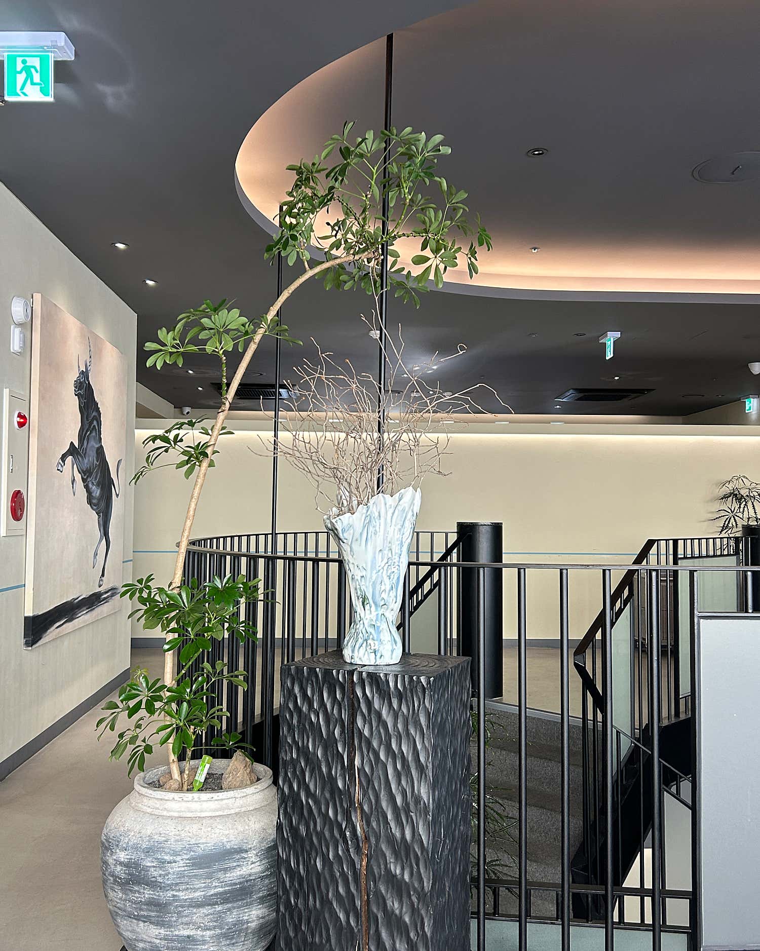 설야갈비 청담 참고 이미지 5