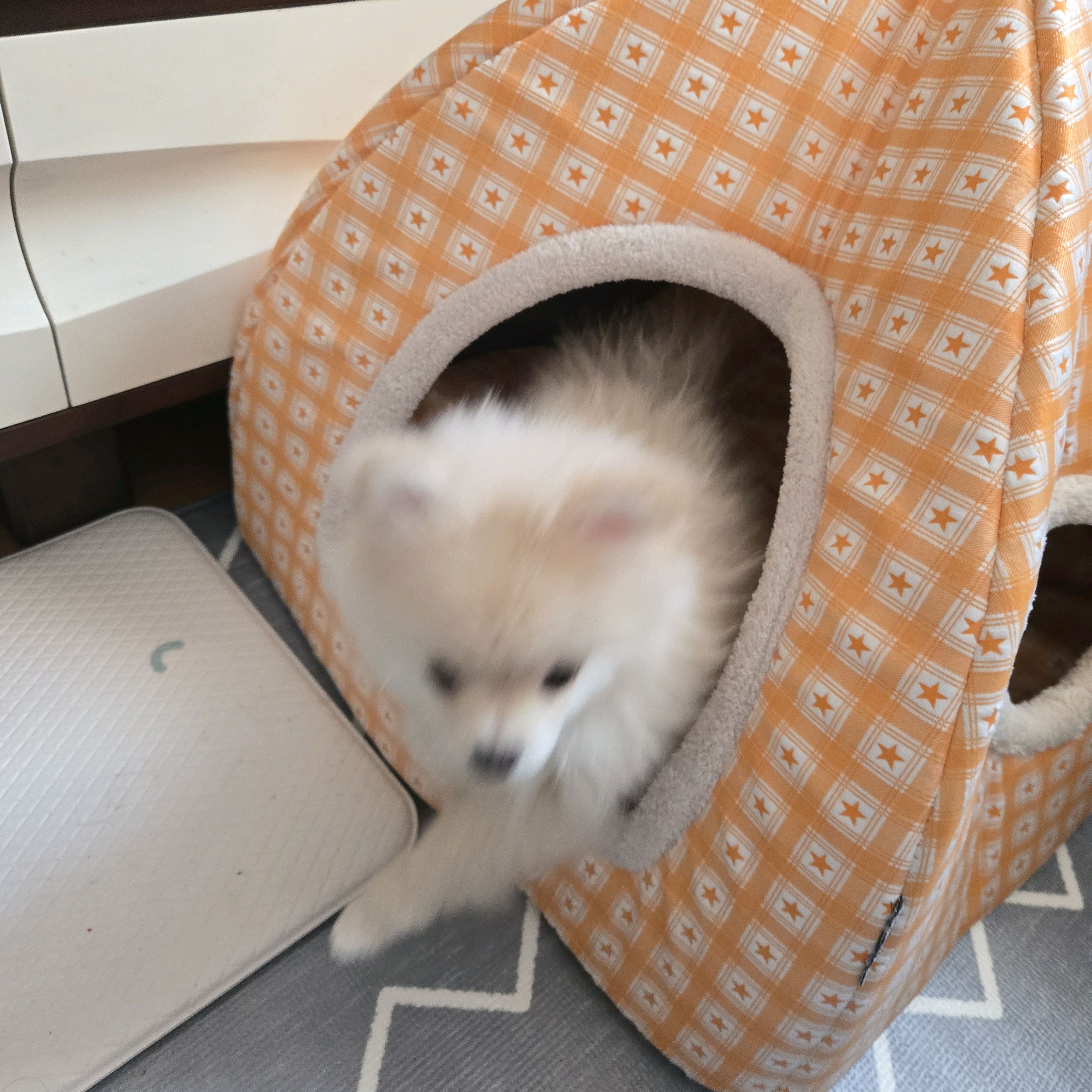 리뷰 사진 1