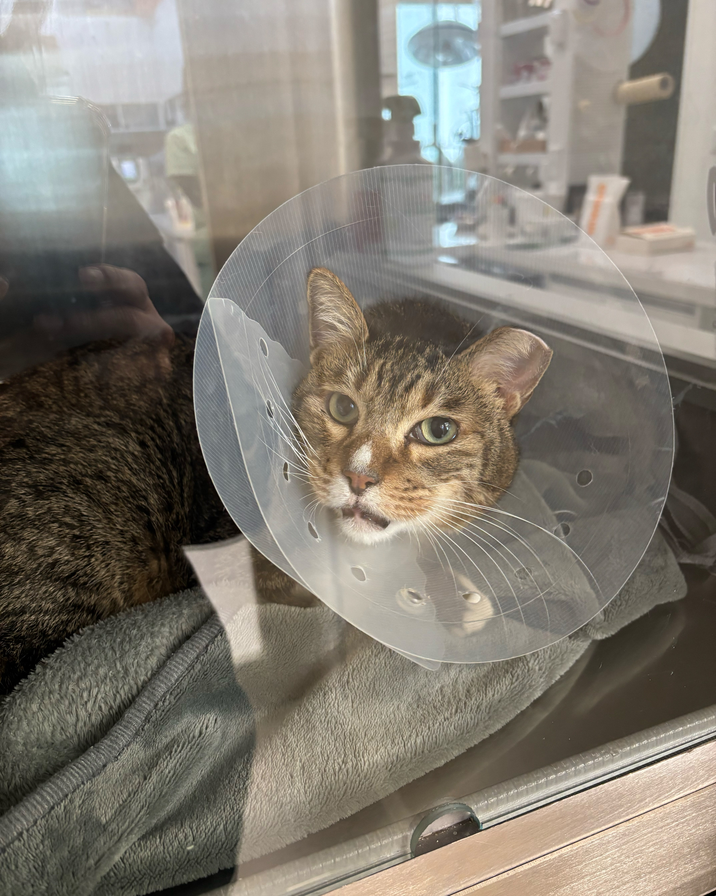 리뷰 사진 1
