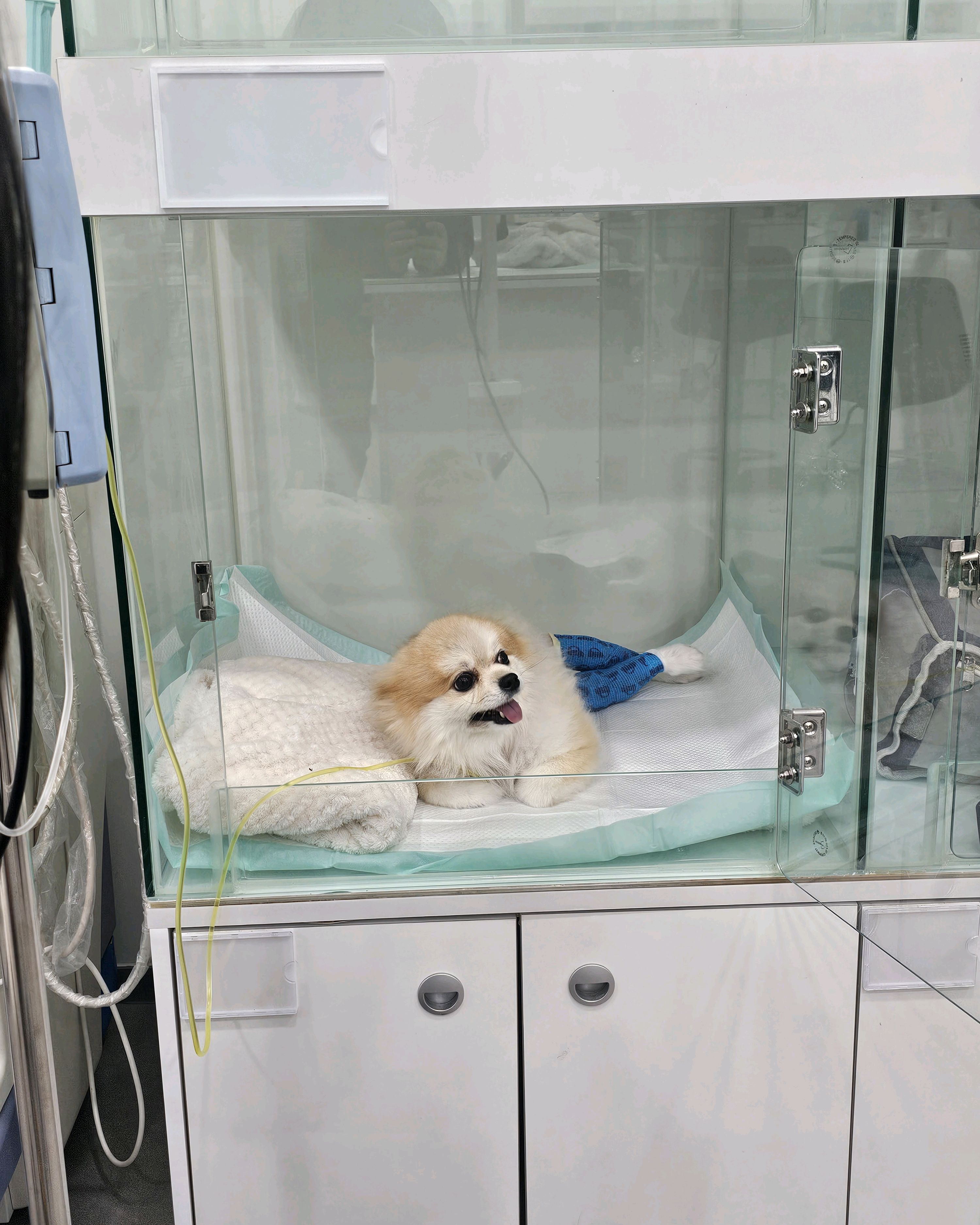 리뷰 사진 2