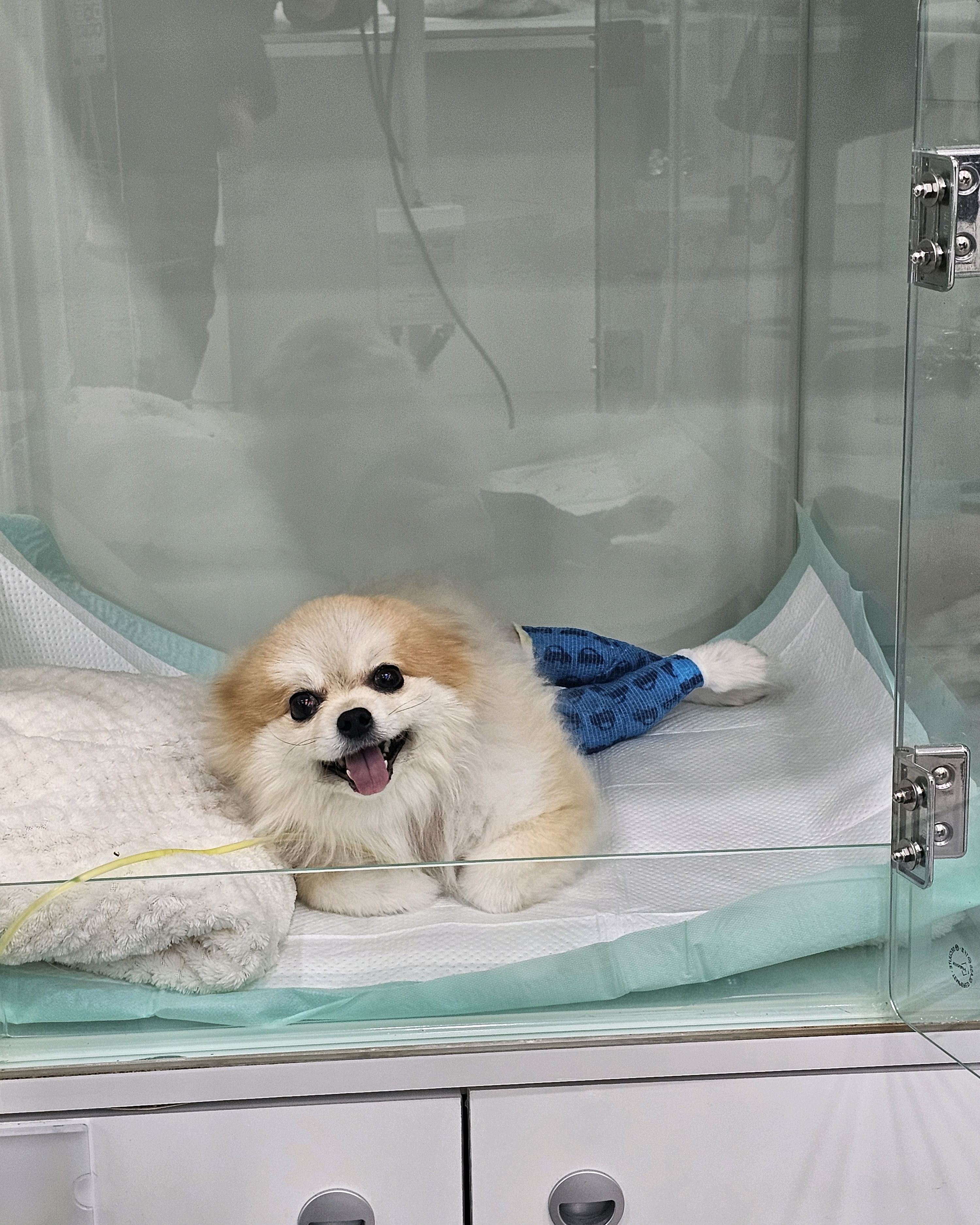 리뷰 사진 1