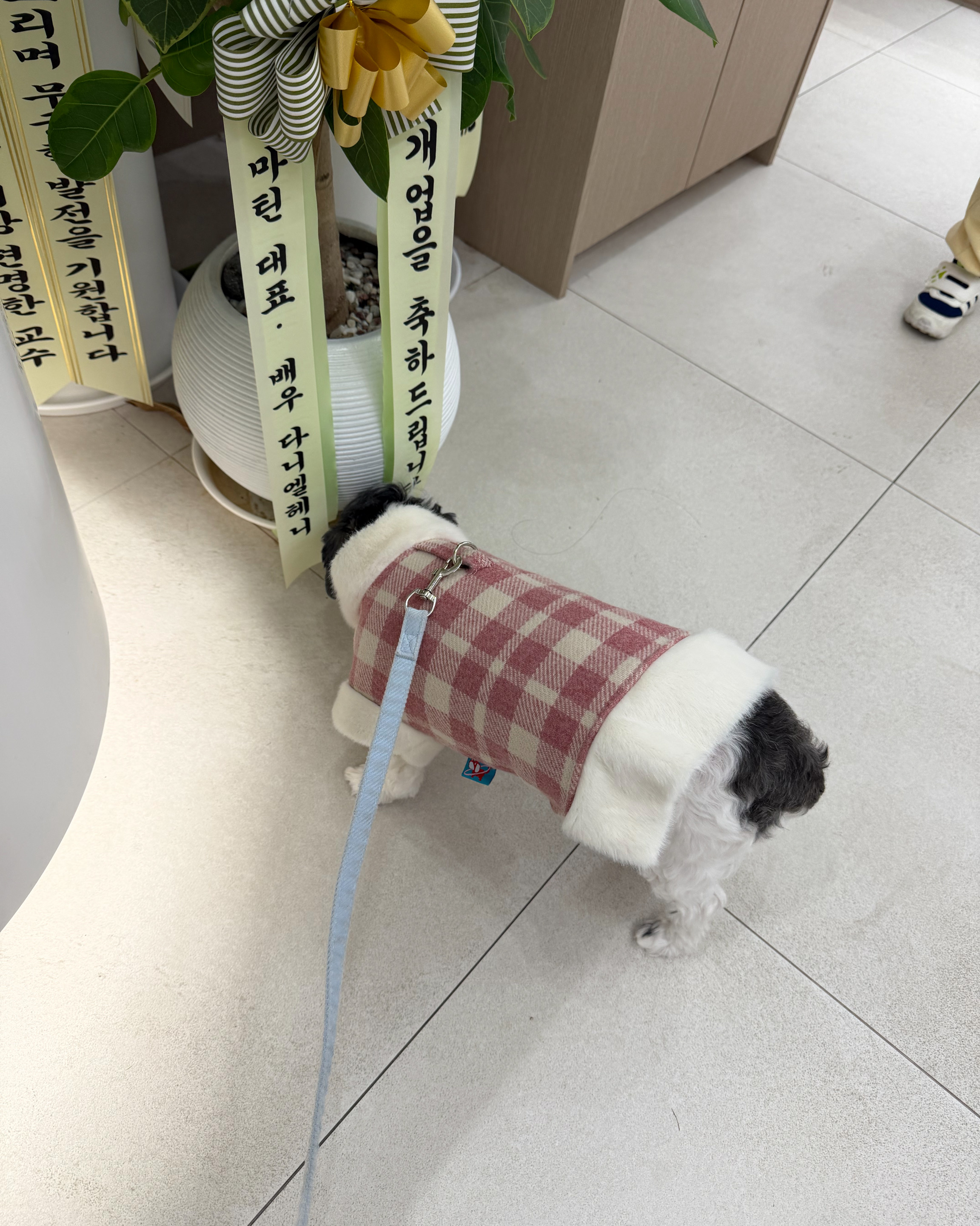 리뷰 사진 1