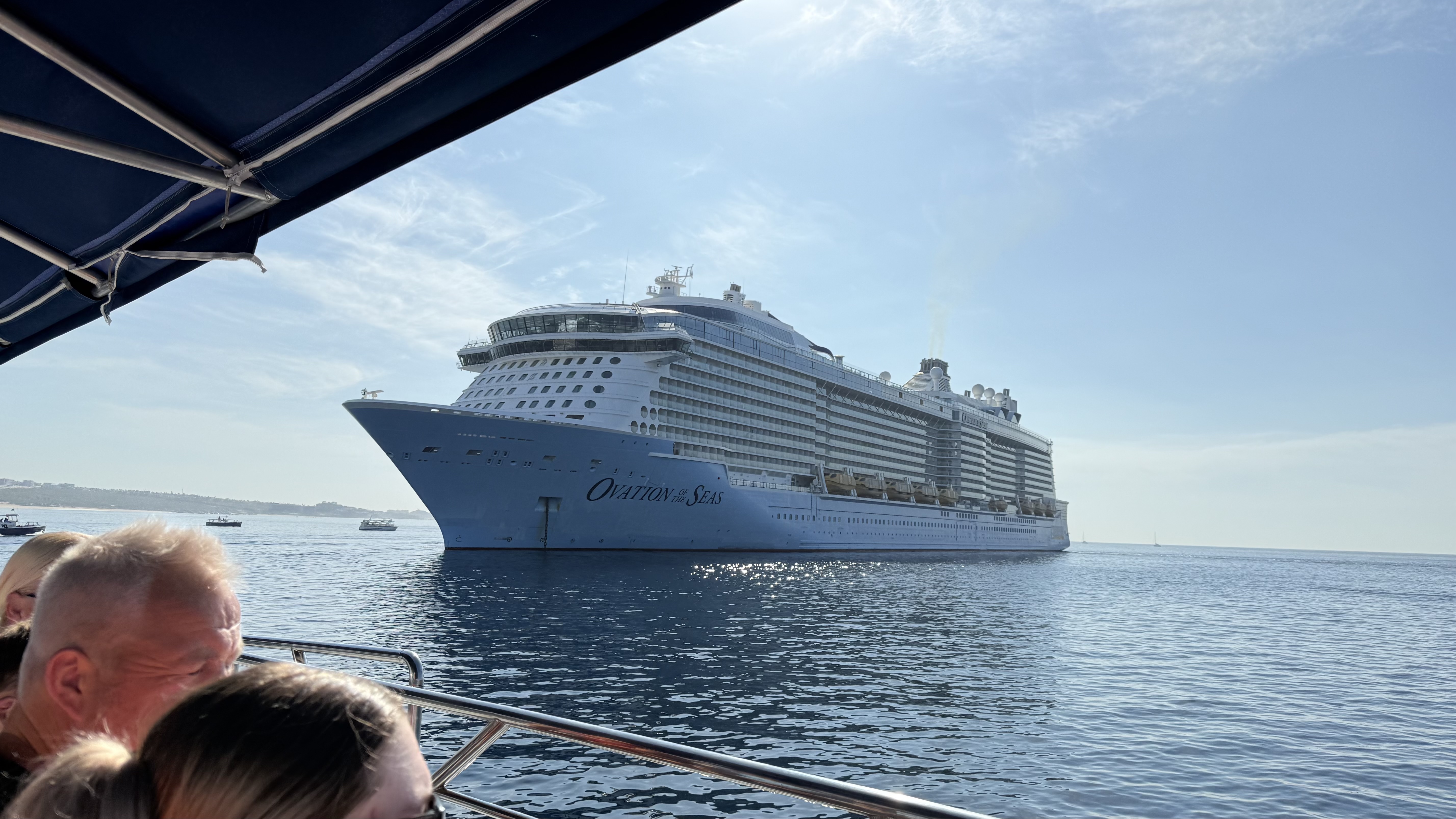 다 익은 닭갈비