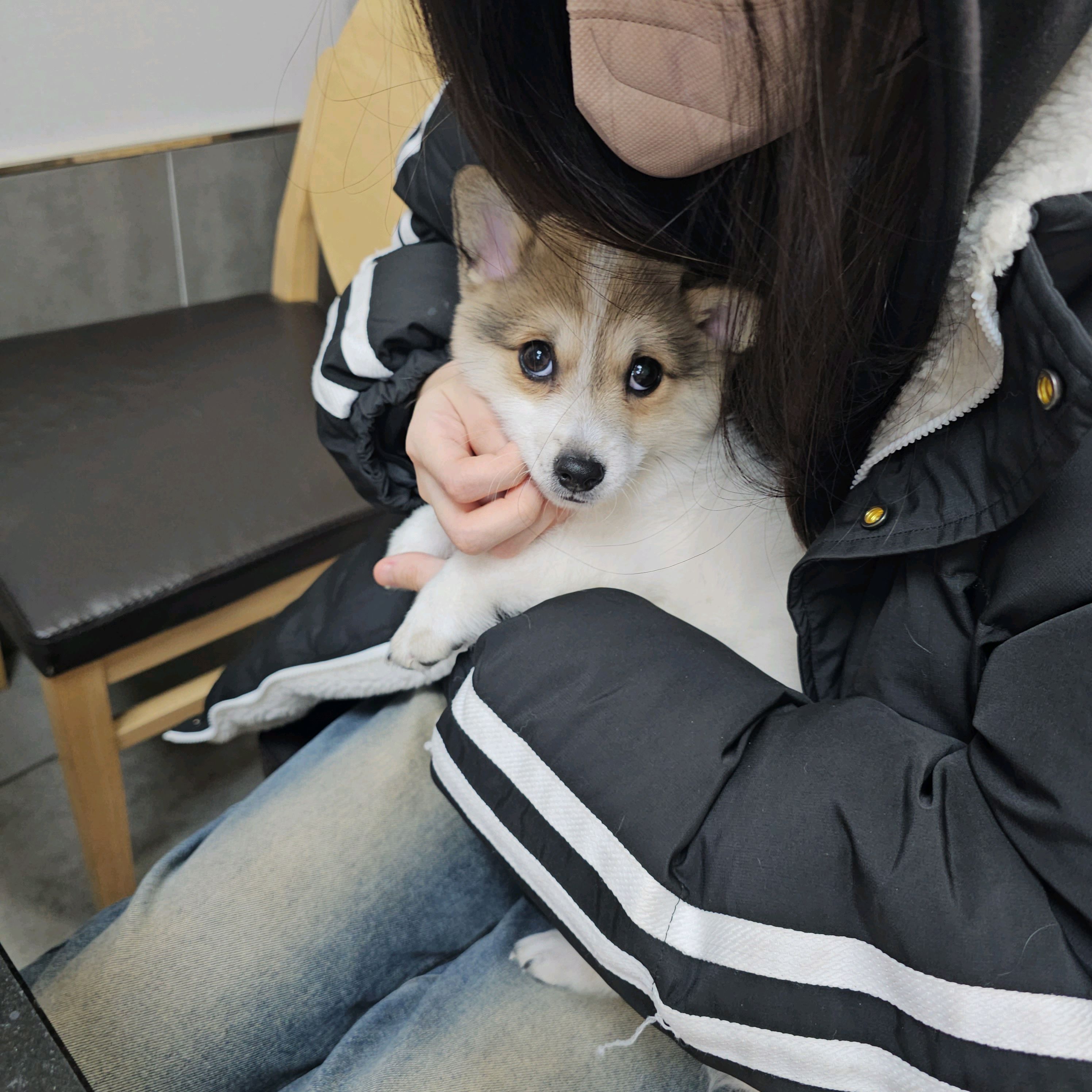 리뷰 사진 1