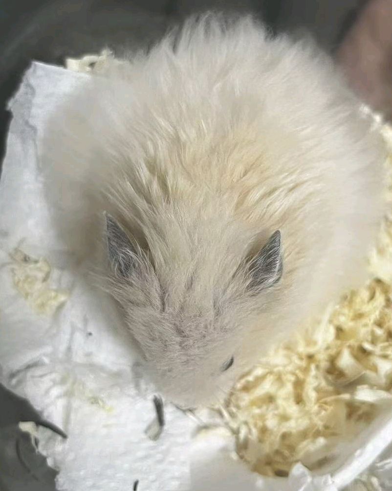 리뷰 사진 1