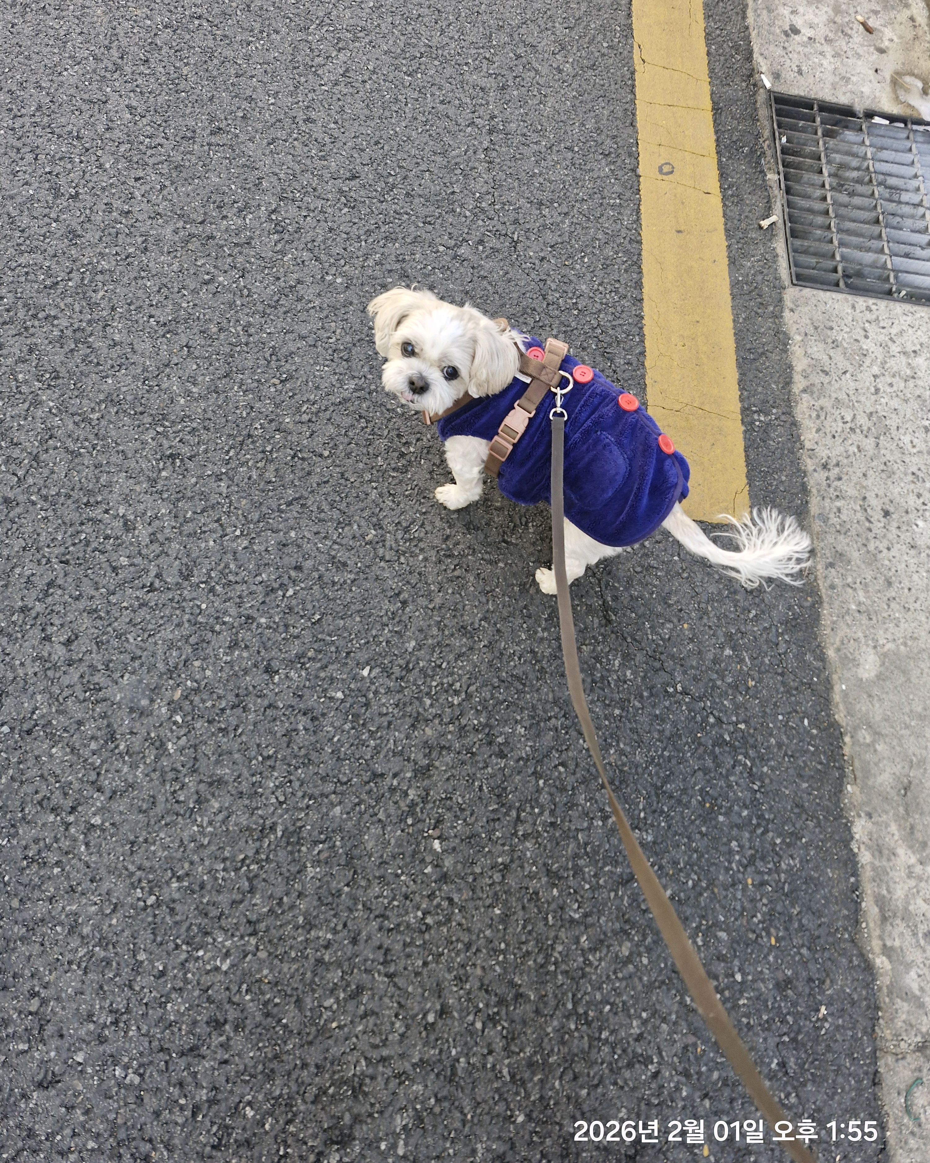 리뷰 사진 2