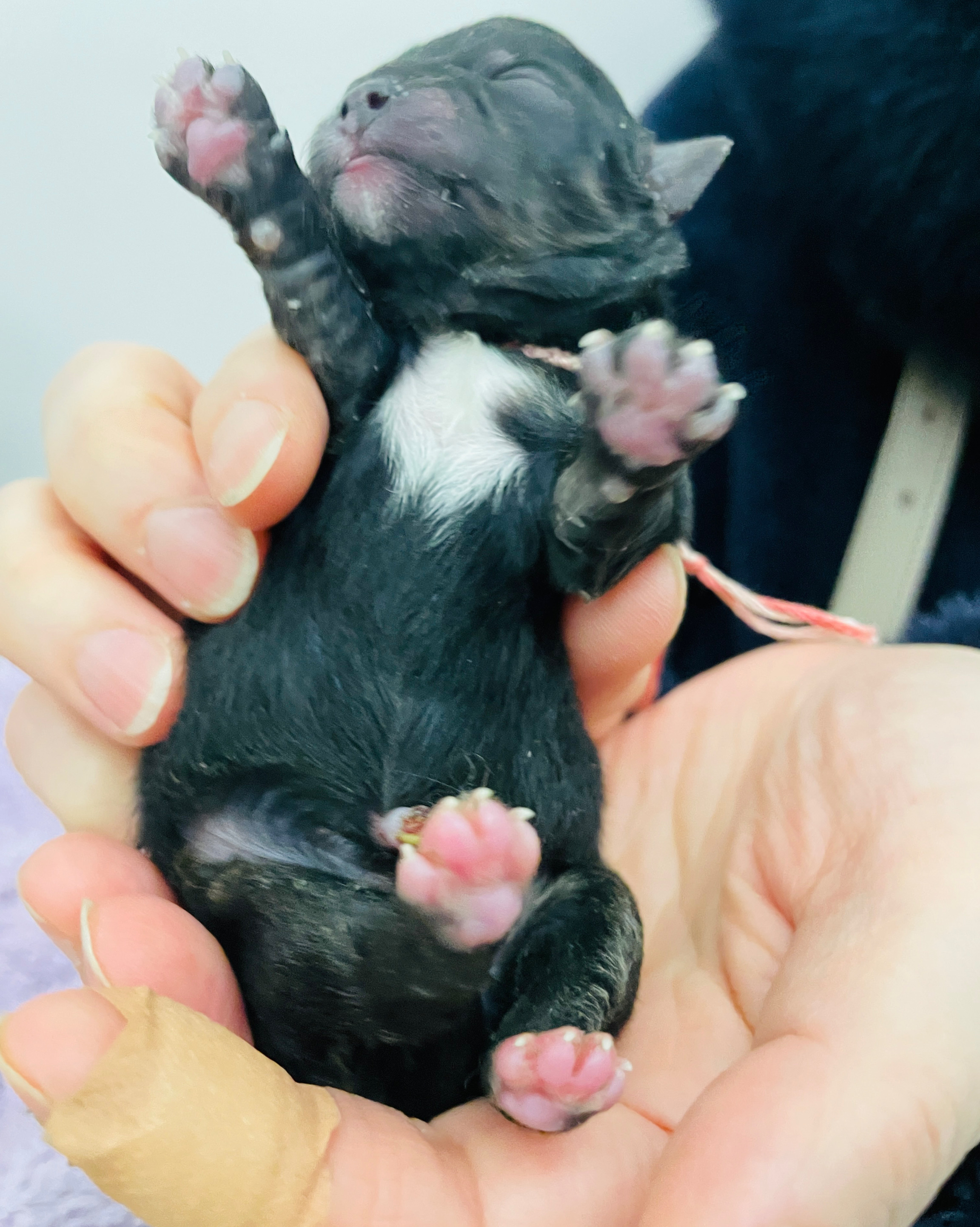 리뷰 사진 1