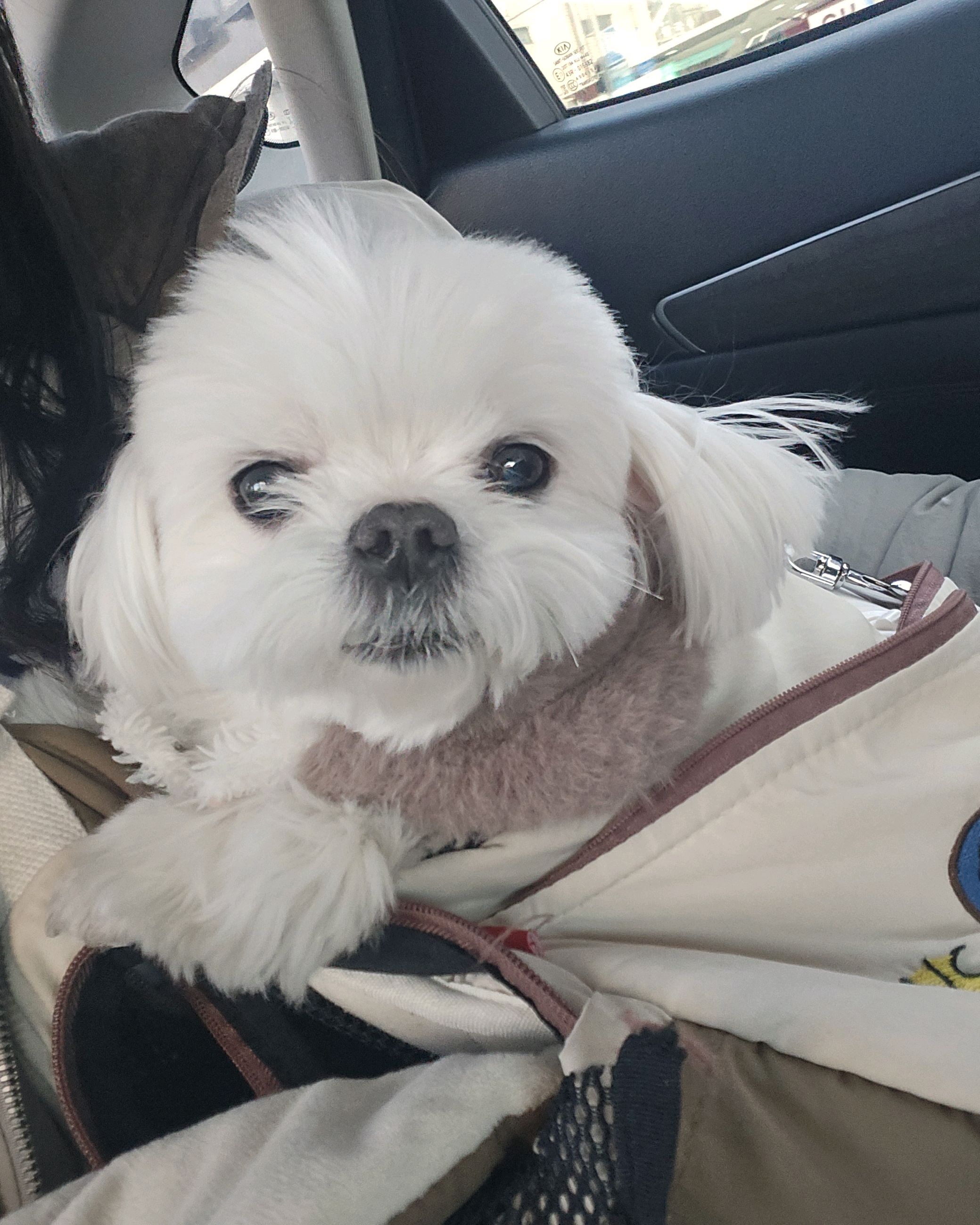 리뷰 사진 2