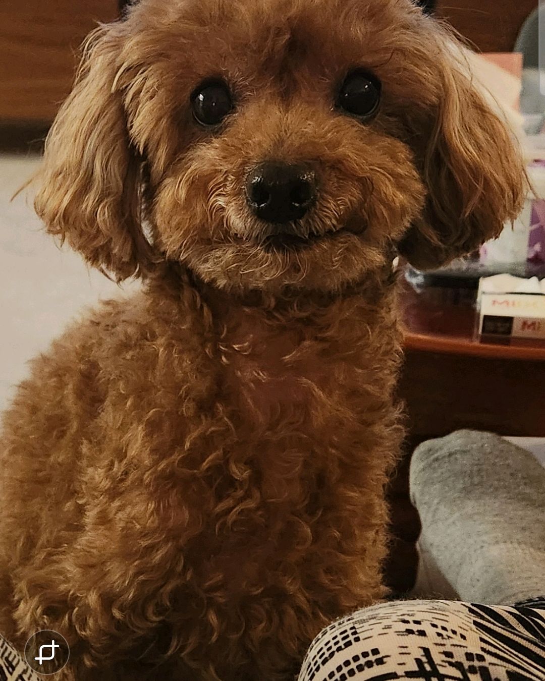 퓨리나동물병원 사진 5
