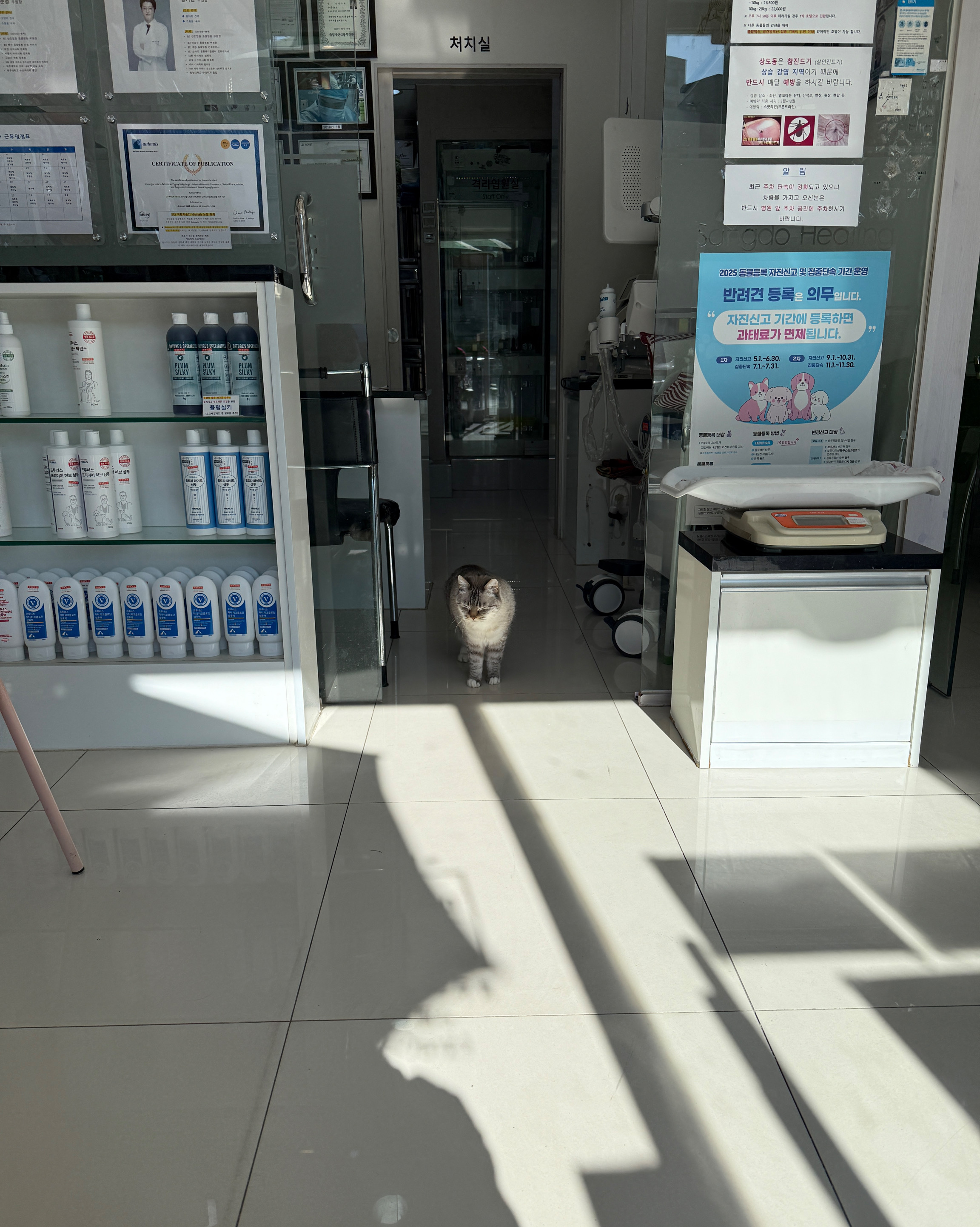 리뷰 사진 1