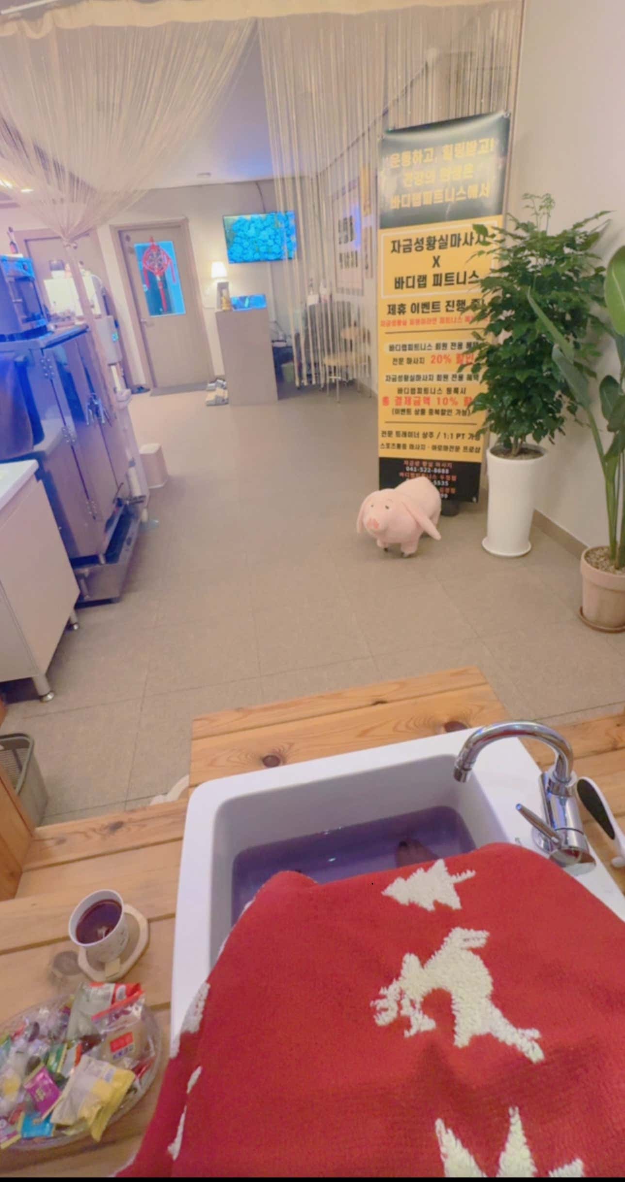 자금성황실마사지 (성정) 매장 사진 10