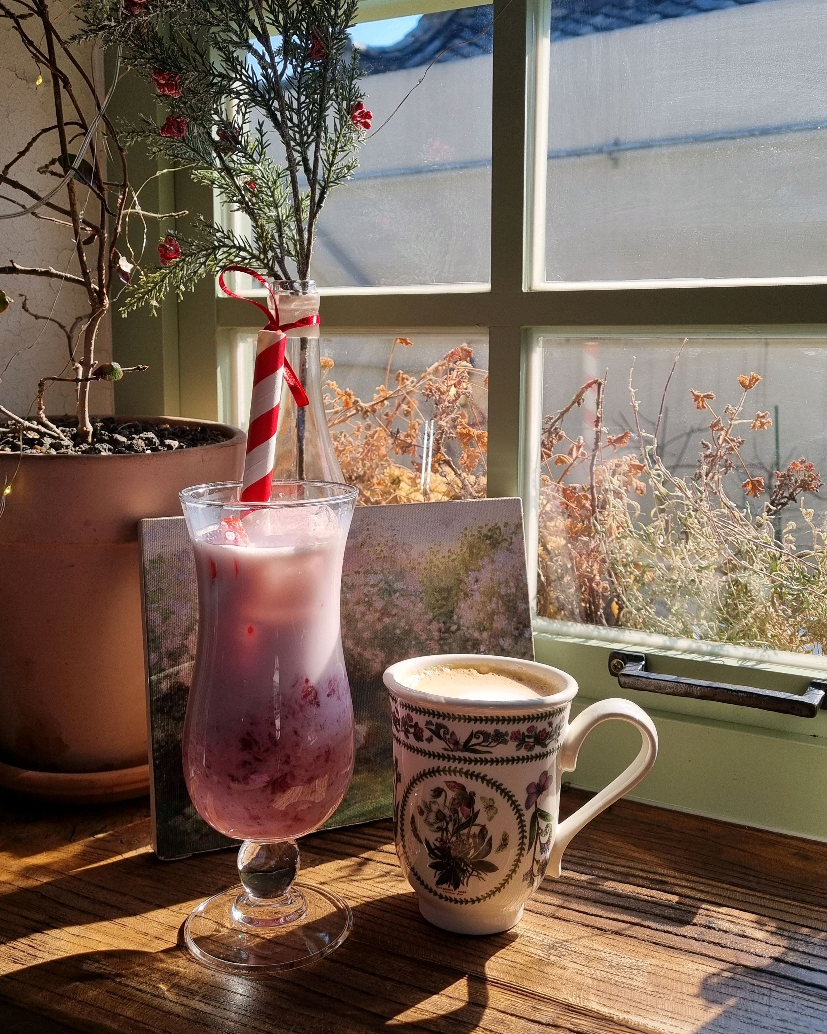 Fruit ade
