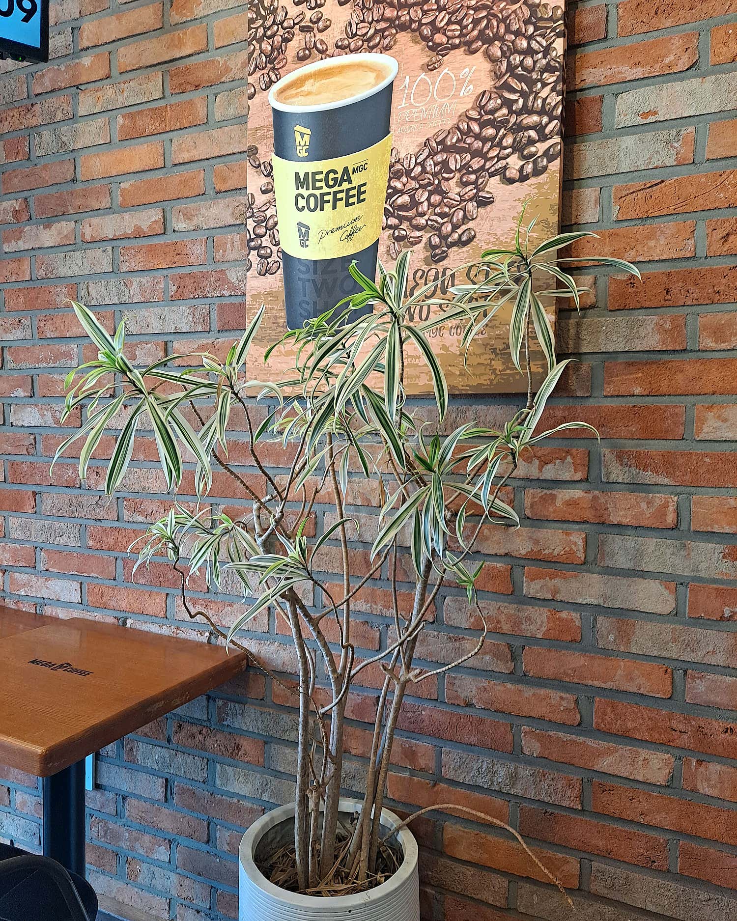 메가타이 (화곡) 매장 사진 8