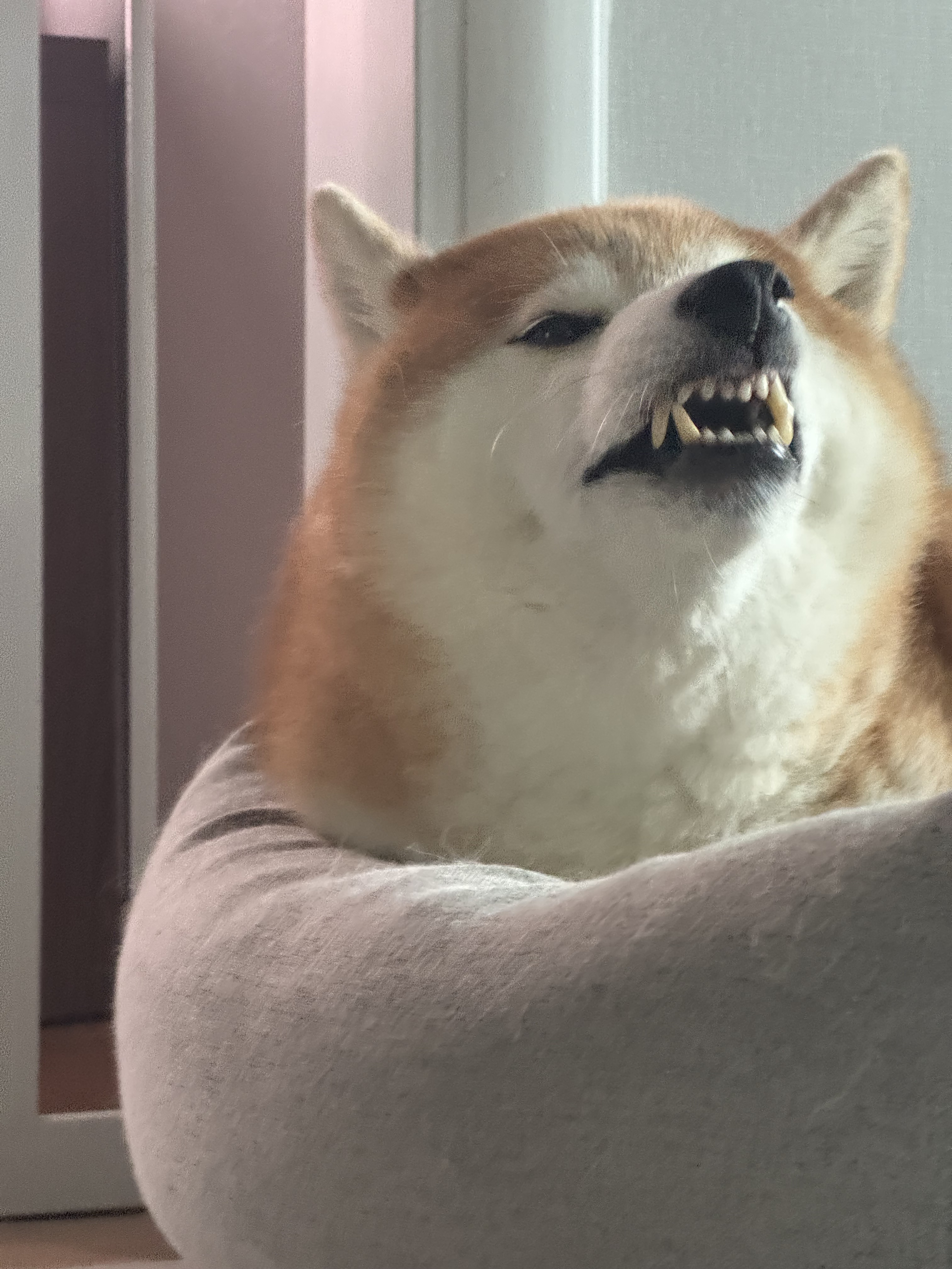리뷰 사진 1