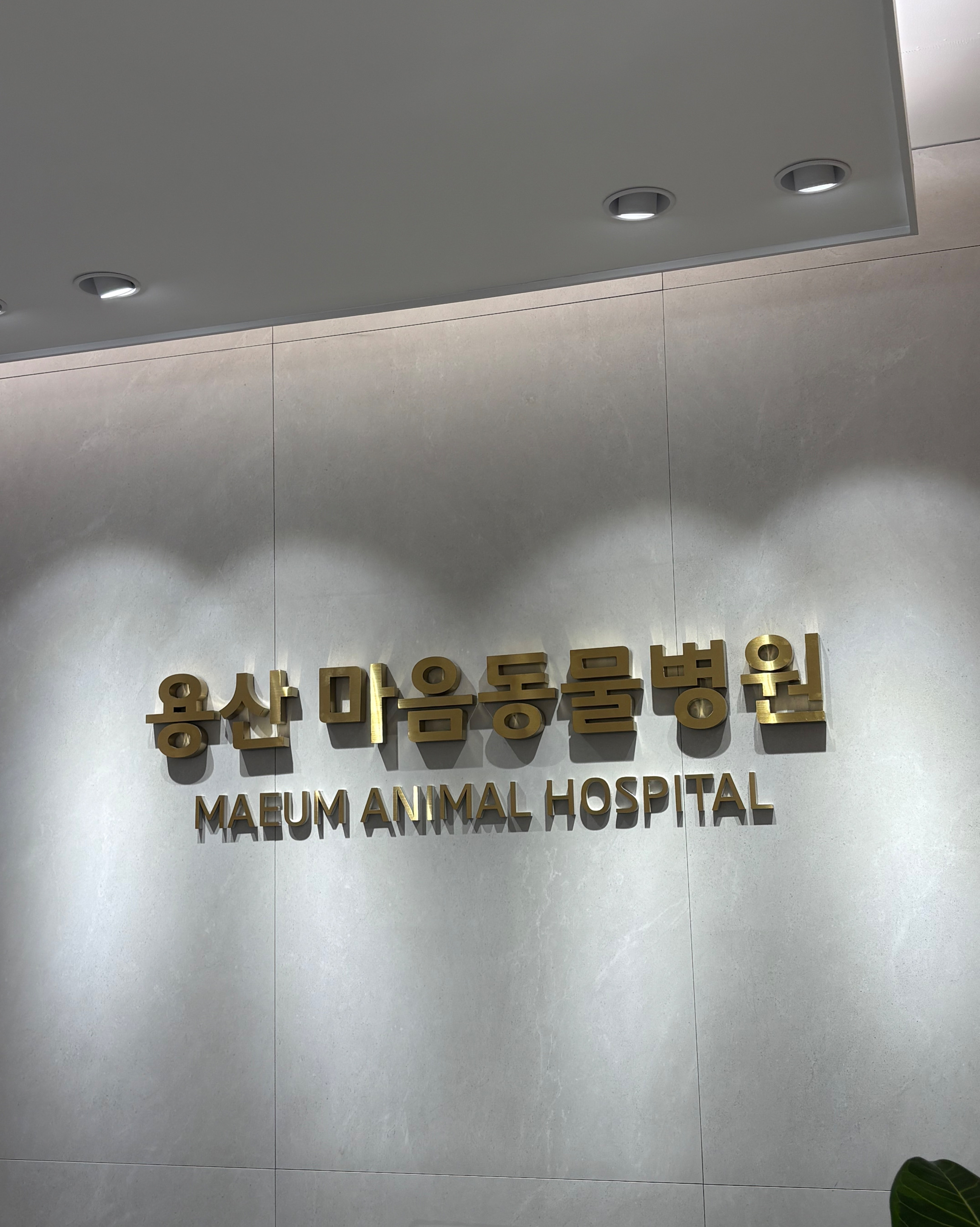 리뷰 사진 1