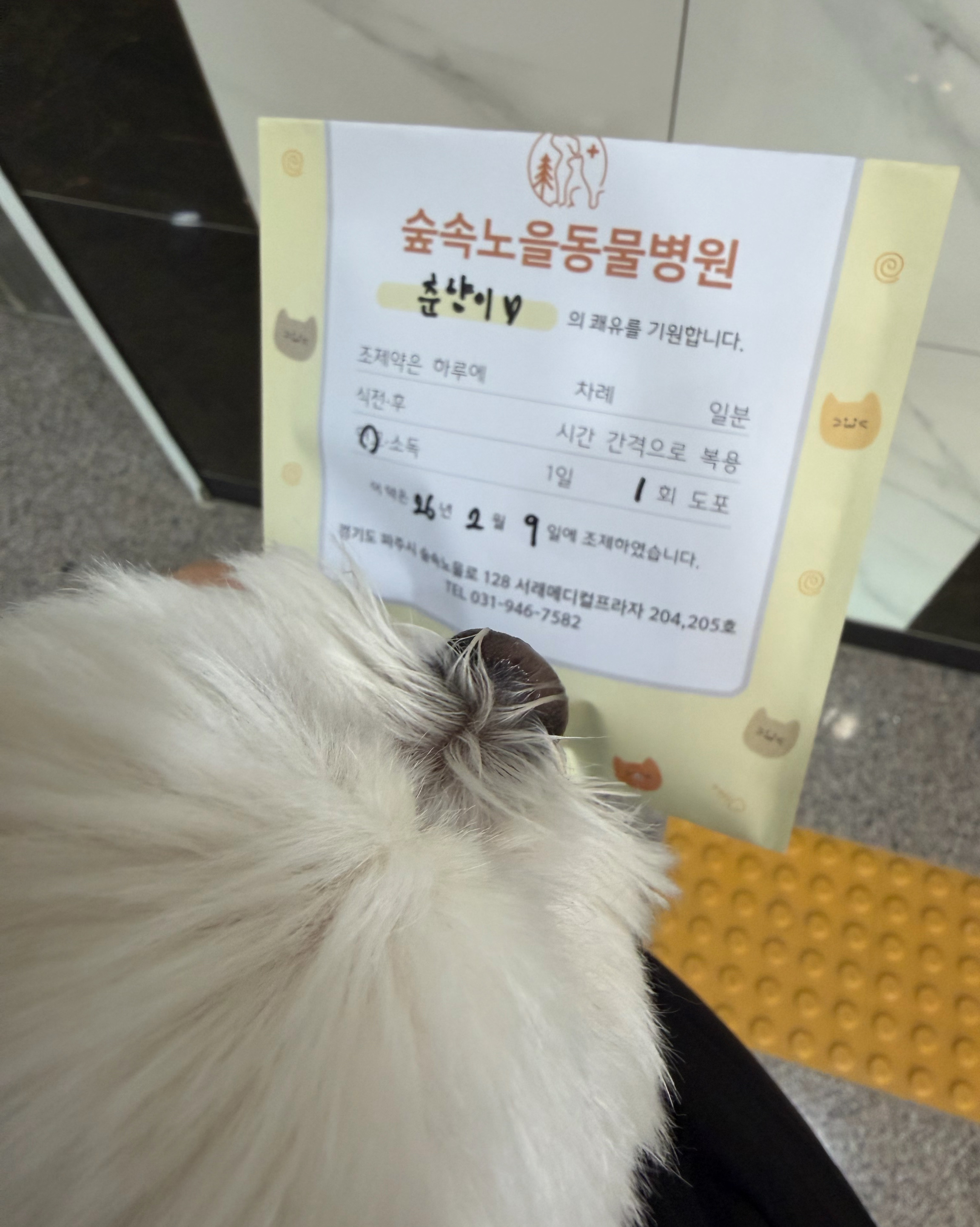 리뷰 사진 1