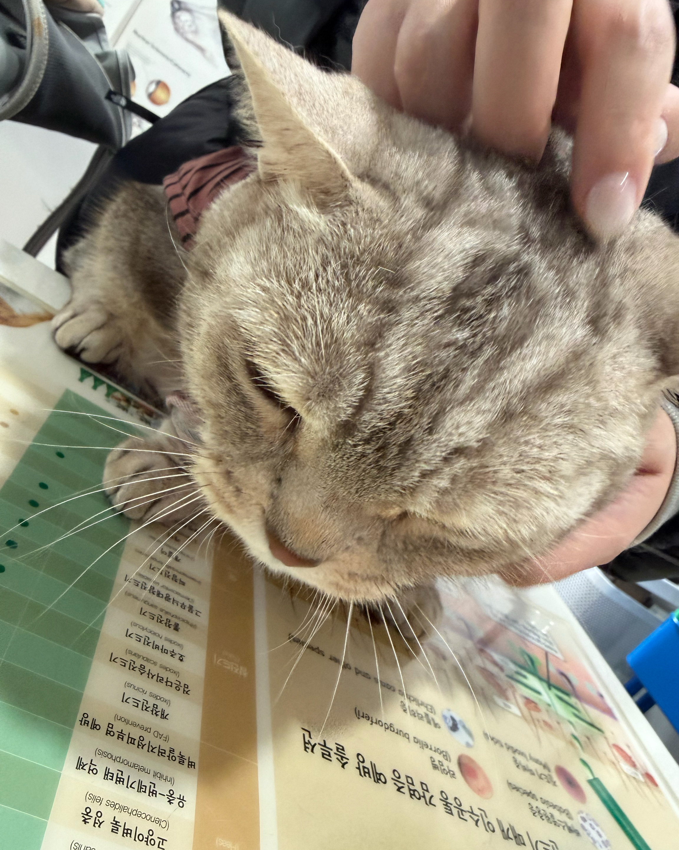 리뷰 사진 2
