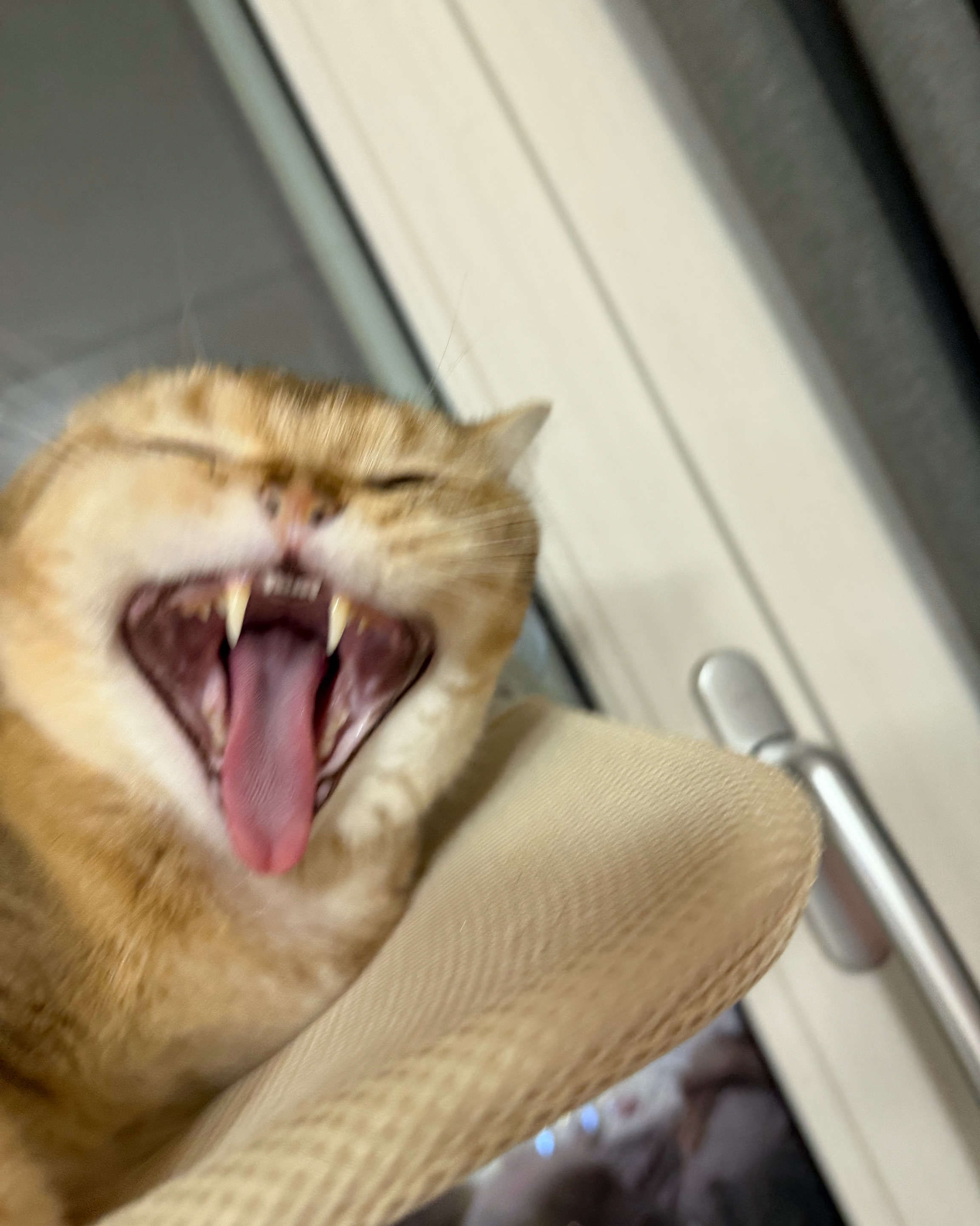 리뷰 사진 2