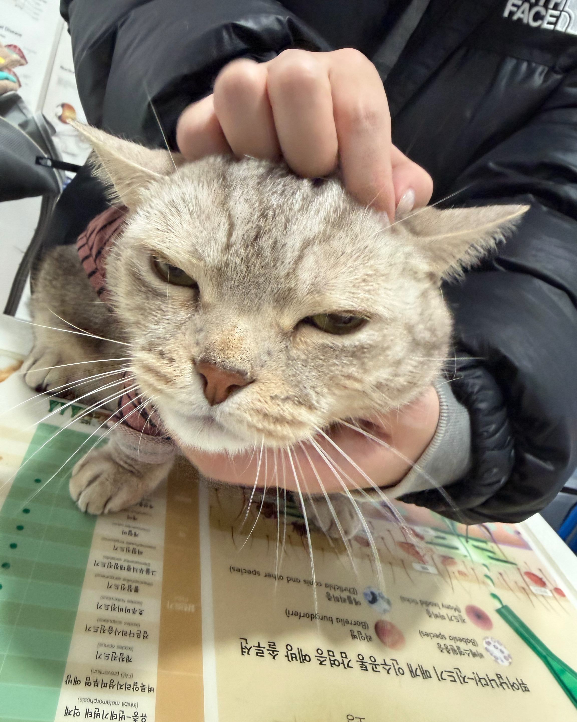 리뷰 사진 3