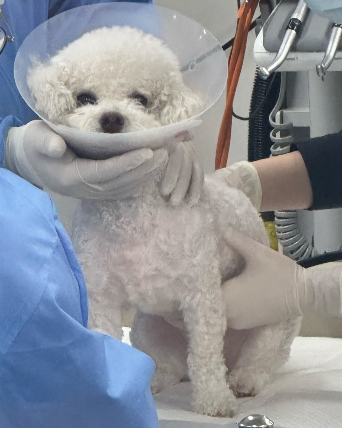 리뷰 사진 1