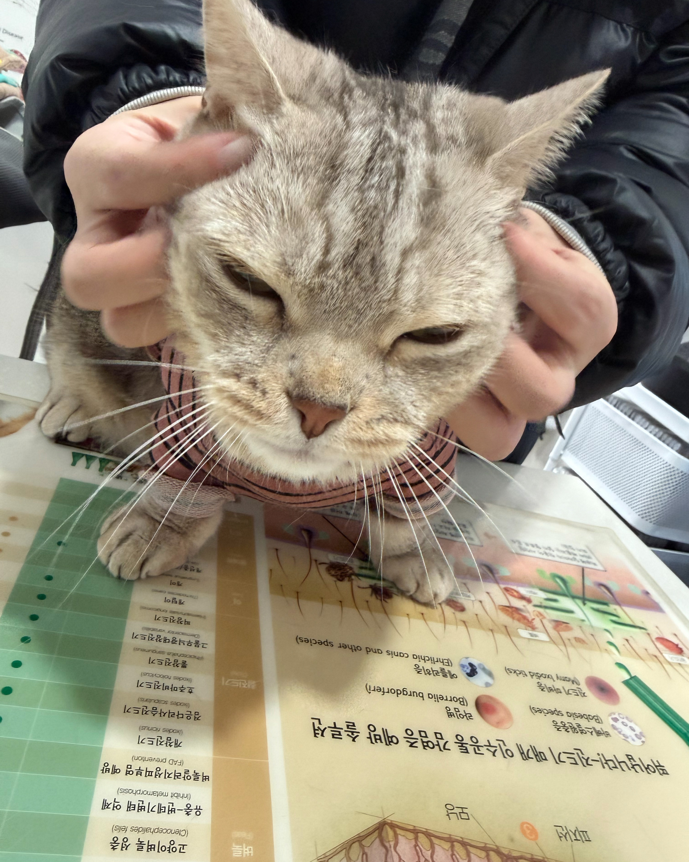 리뷰 사진 1