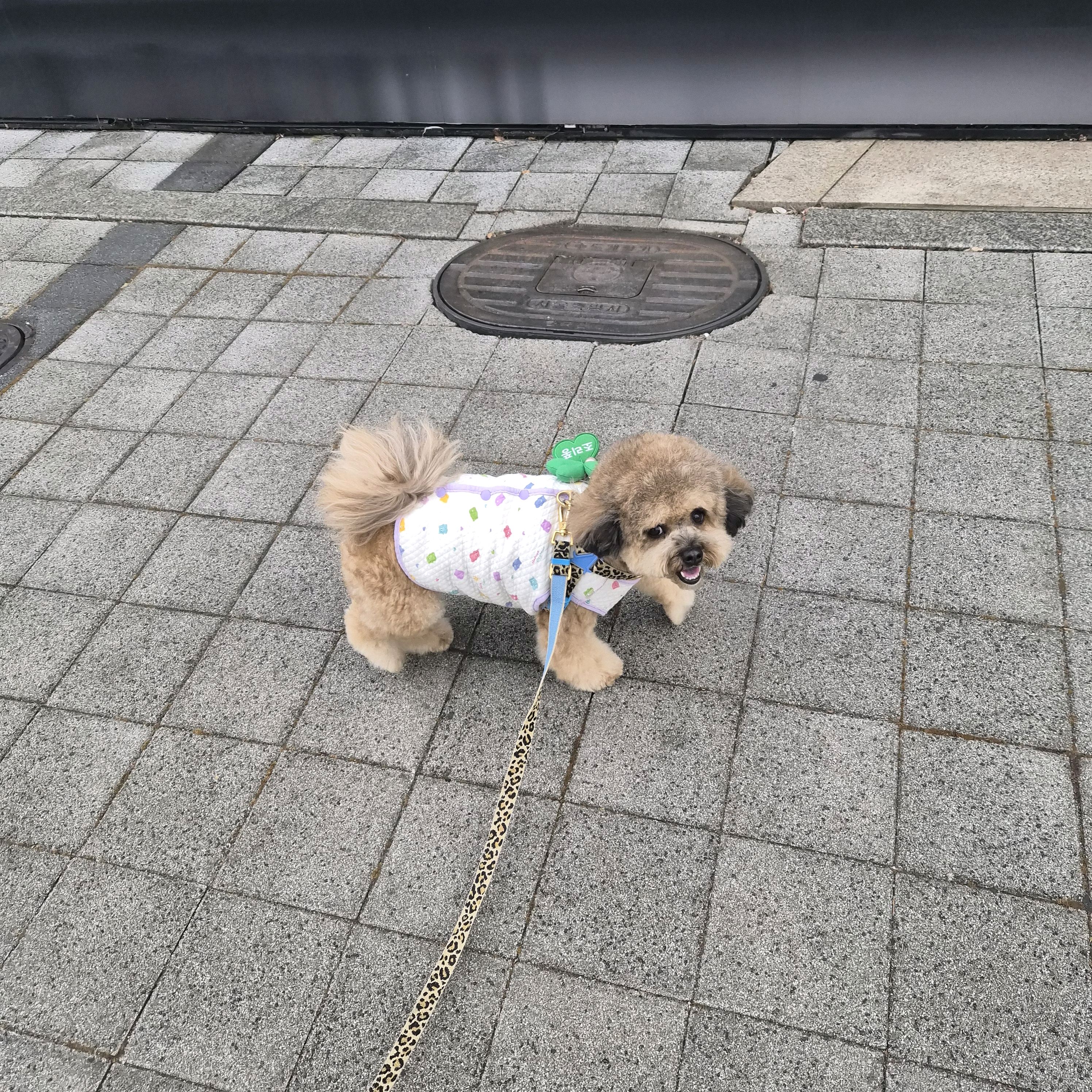 리뷰 사진 1