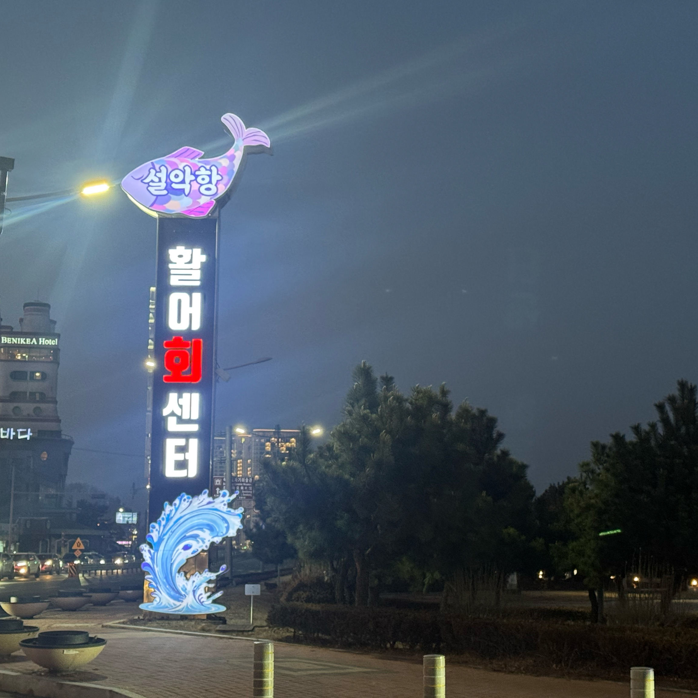 미영이네 3