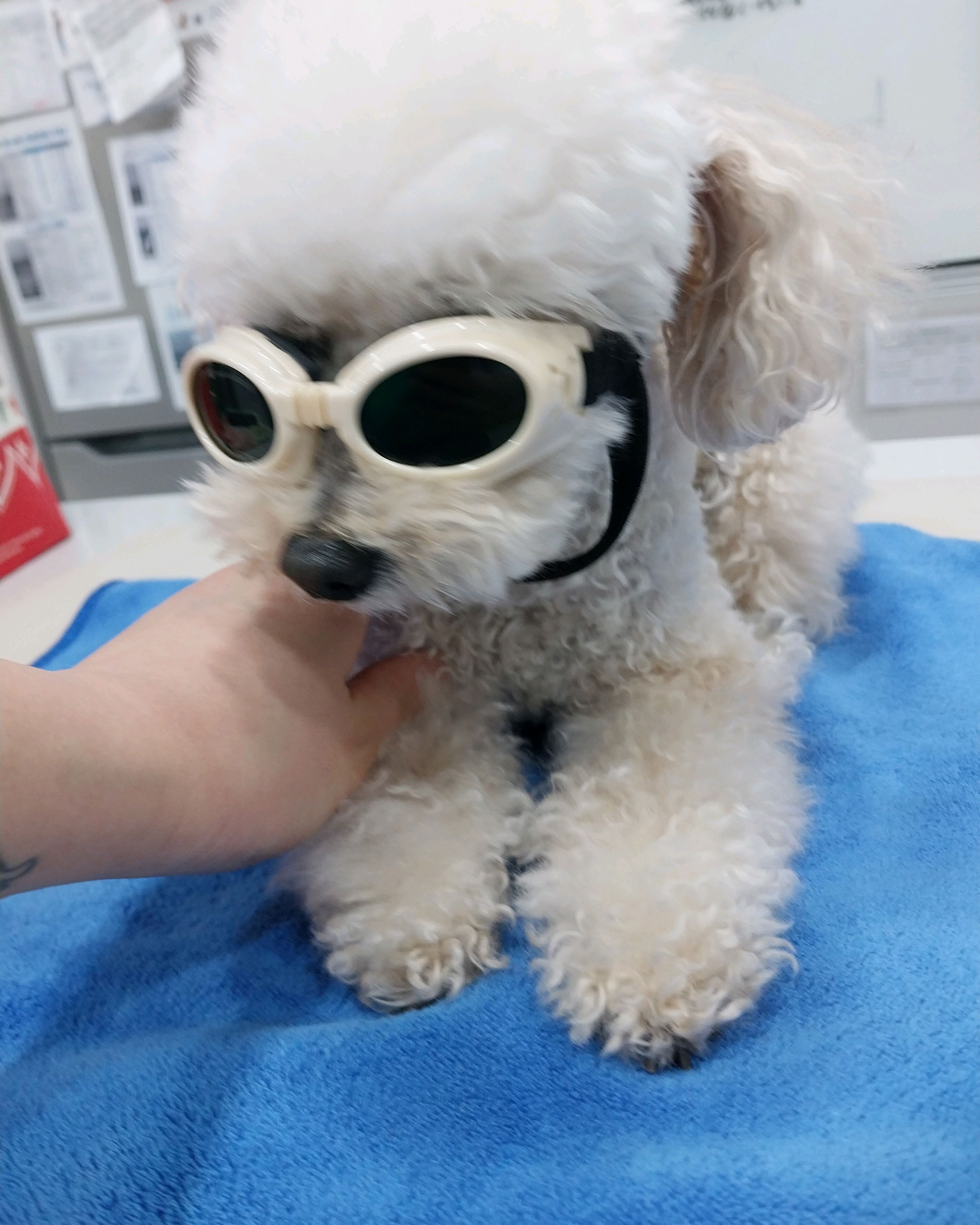 리뷰 사진 1