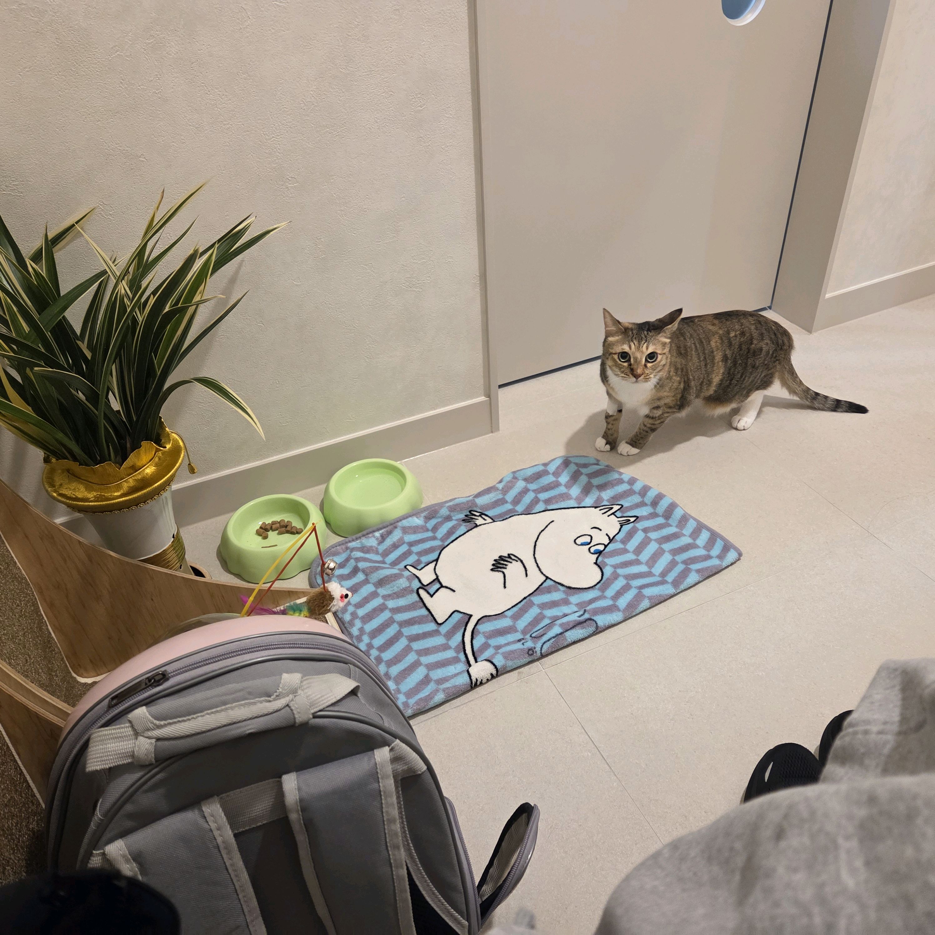 리뷰 사진 4