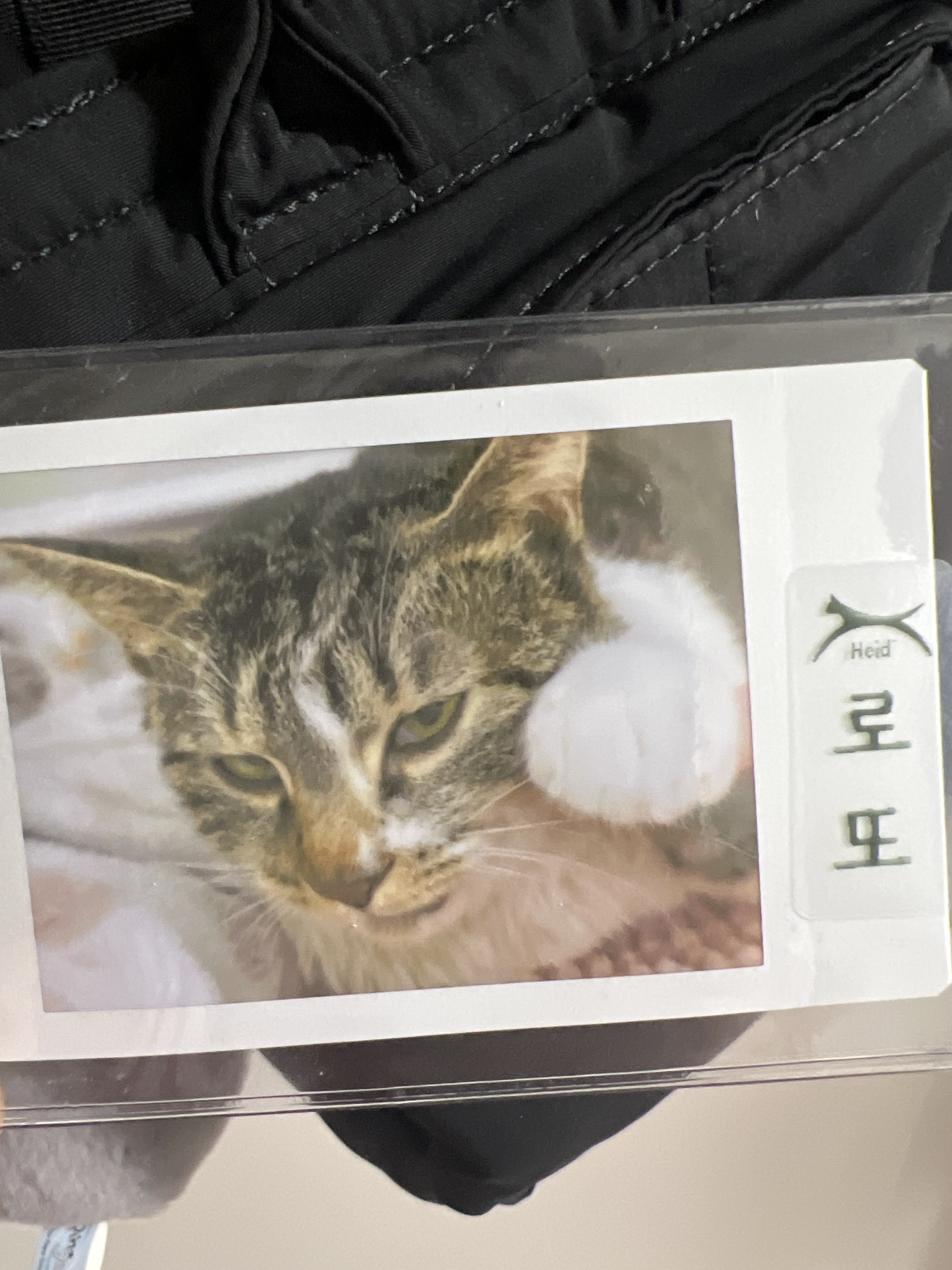 리뷰 사진 1