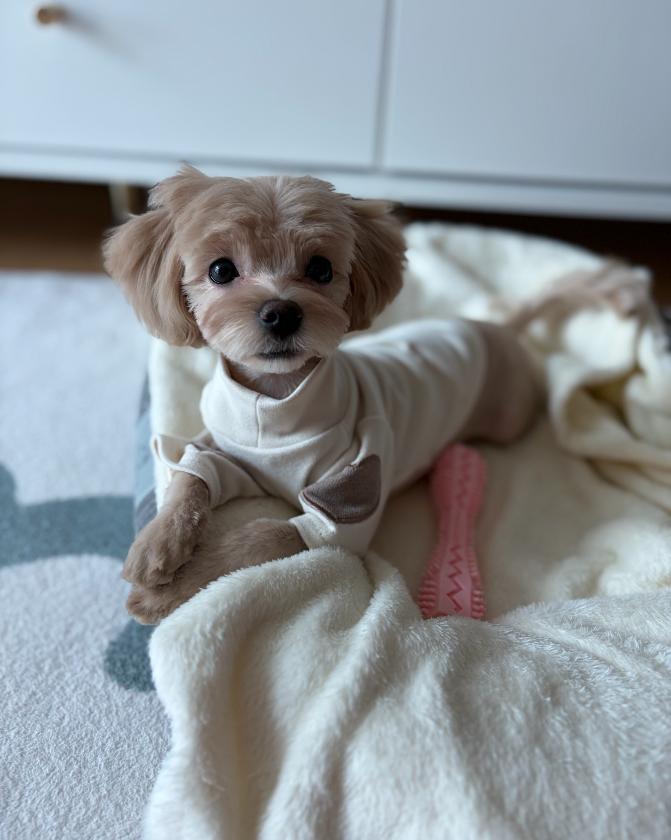 리뷰 사진 1