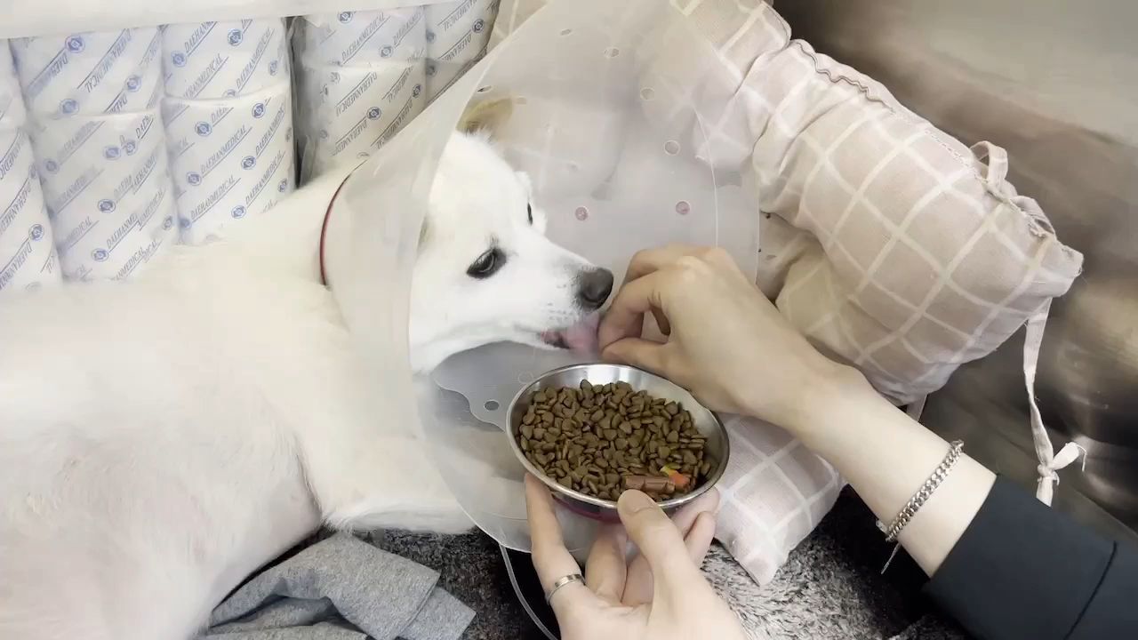 리뷰 사진 3