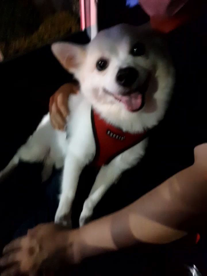 리뷰 사진 1