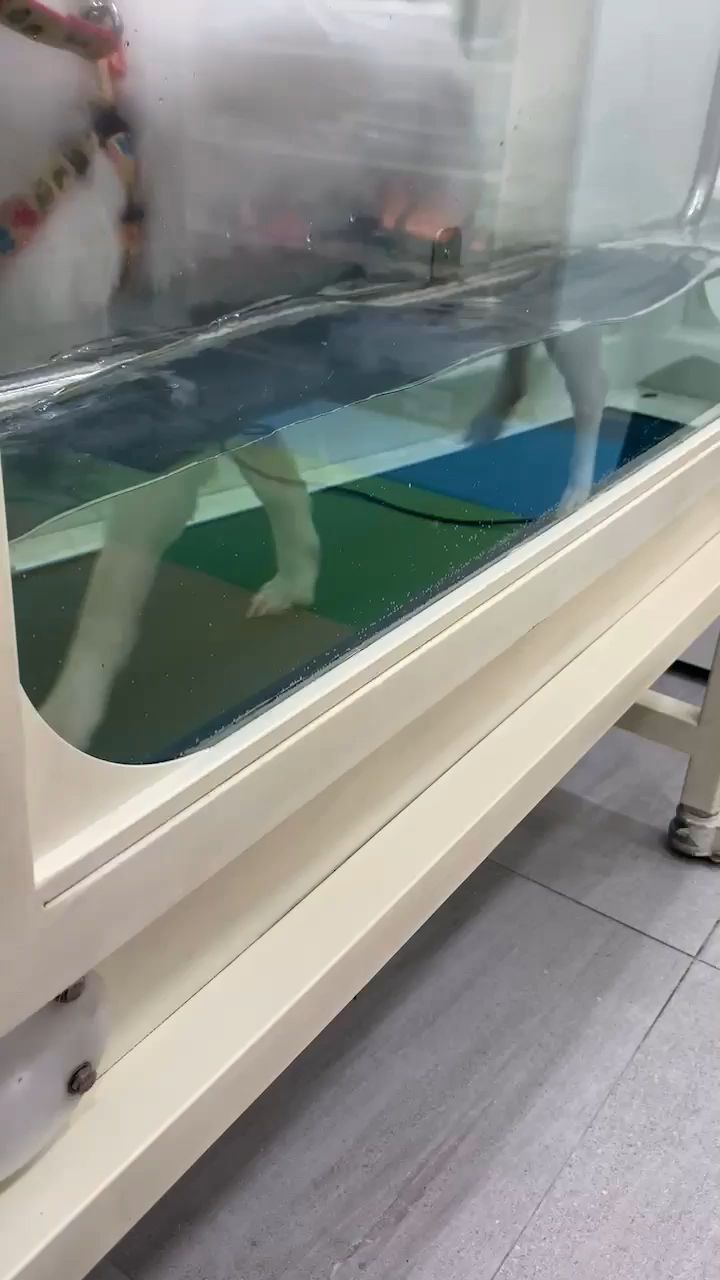 리뷰 사진 2