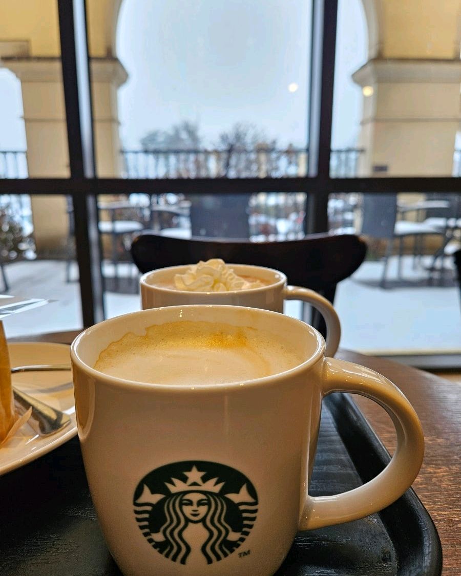 스타벅스 설악쏘라노점 (Starbucks Seorak Sorano) 7