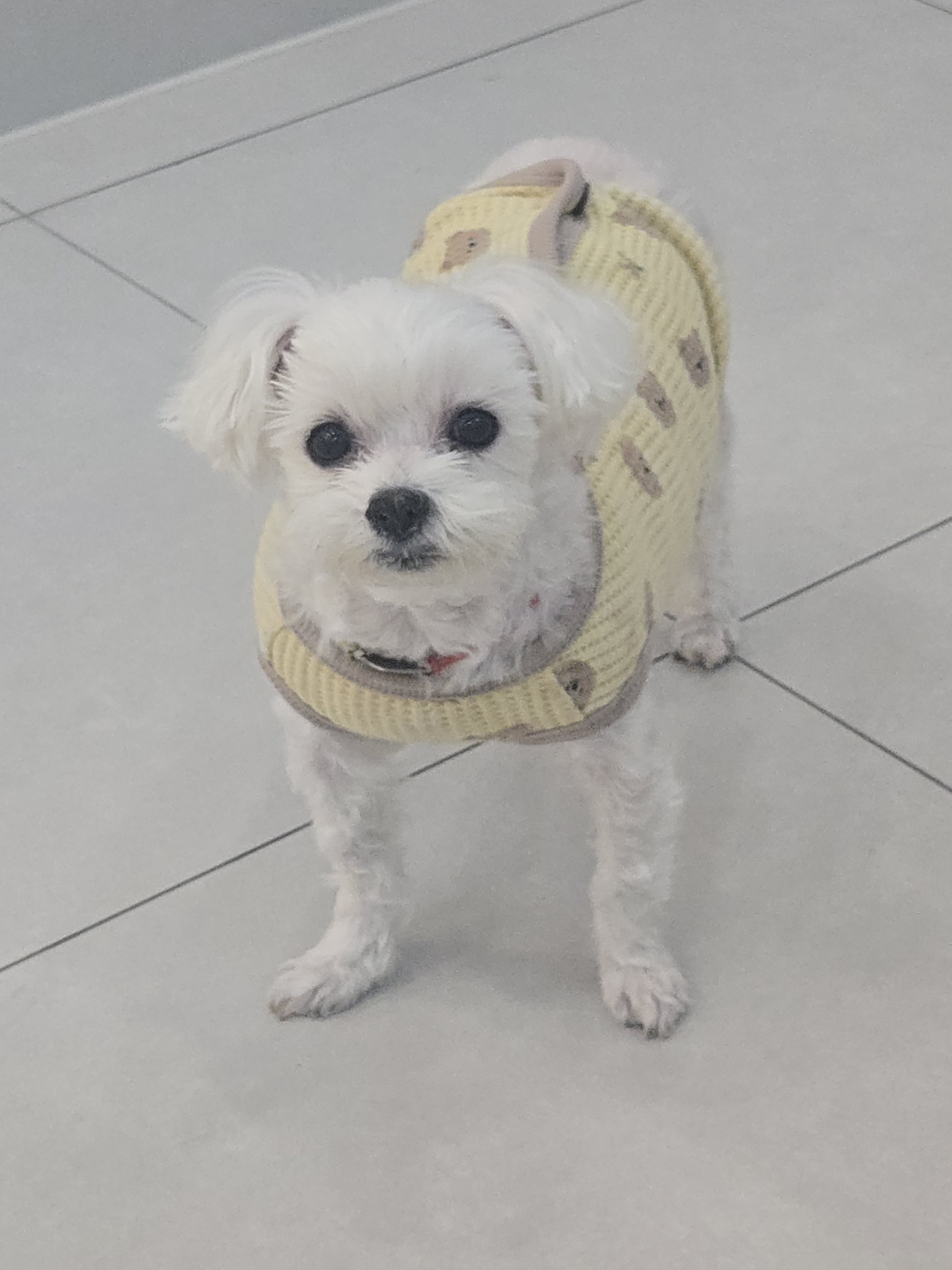 리뷰 사진 2