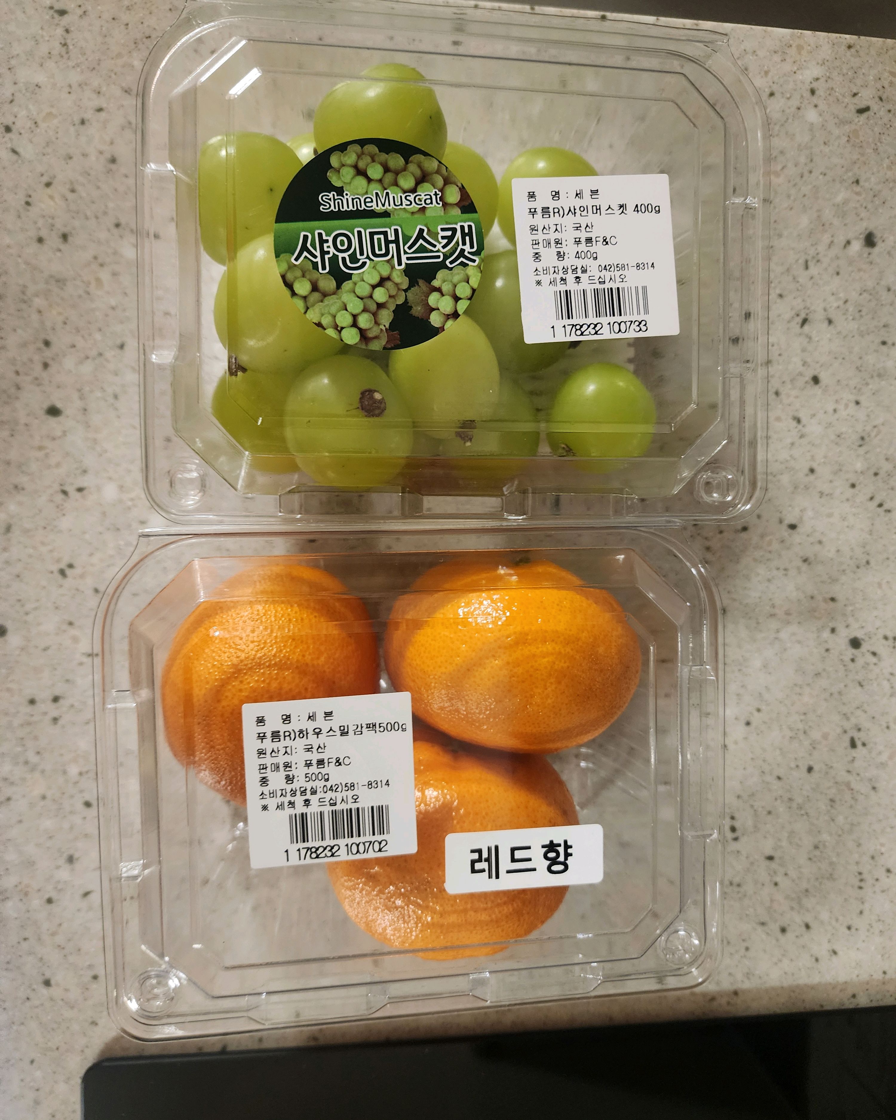 세븐일레븐 속초블루테라점 7