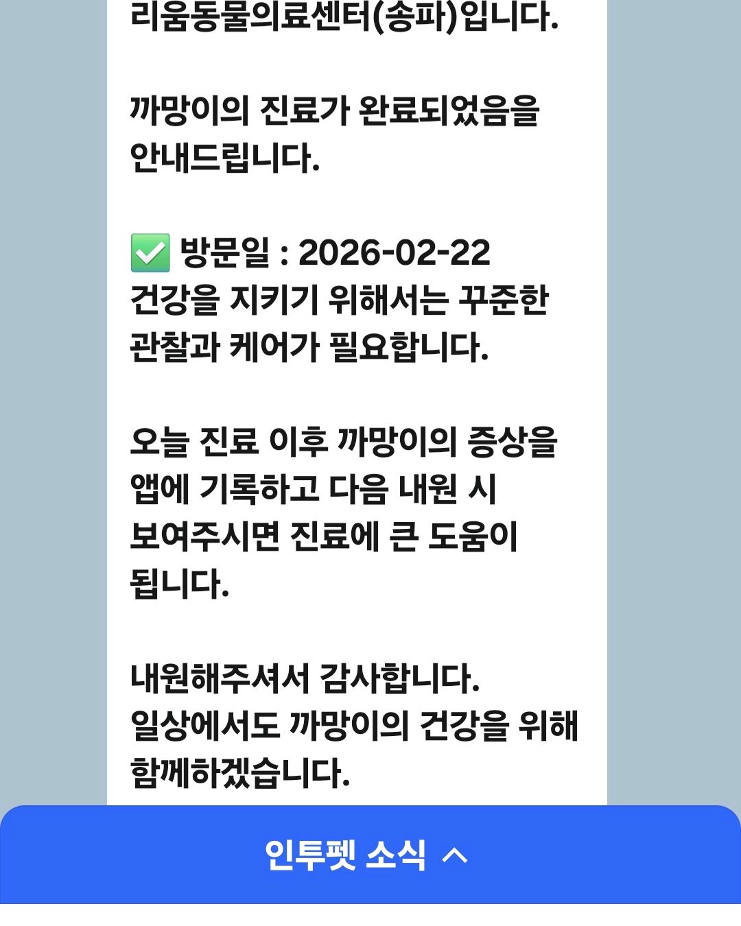 리뷰 사진 2