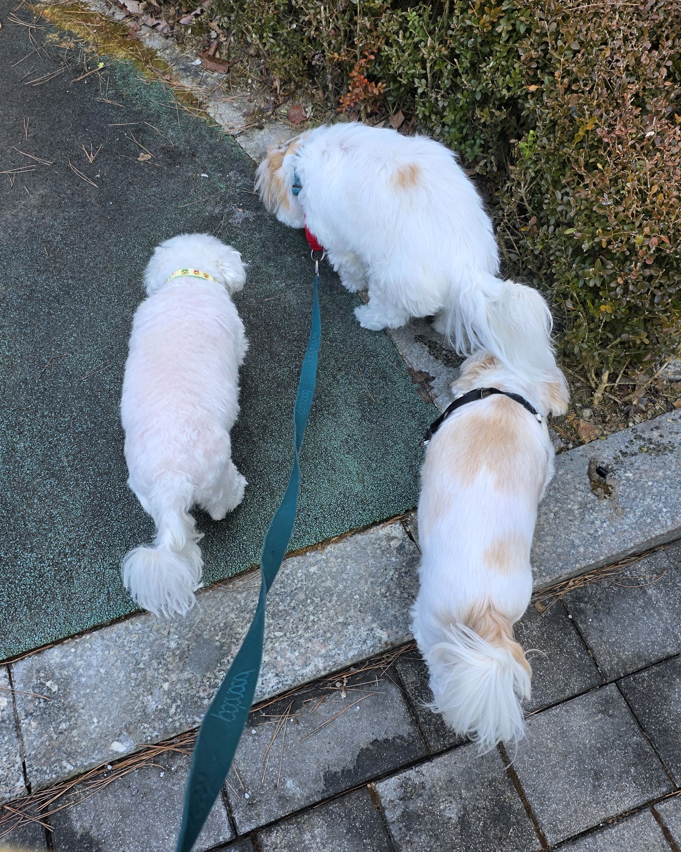 리뷰 사진 1