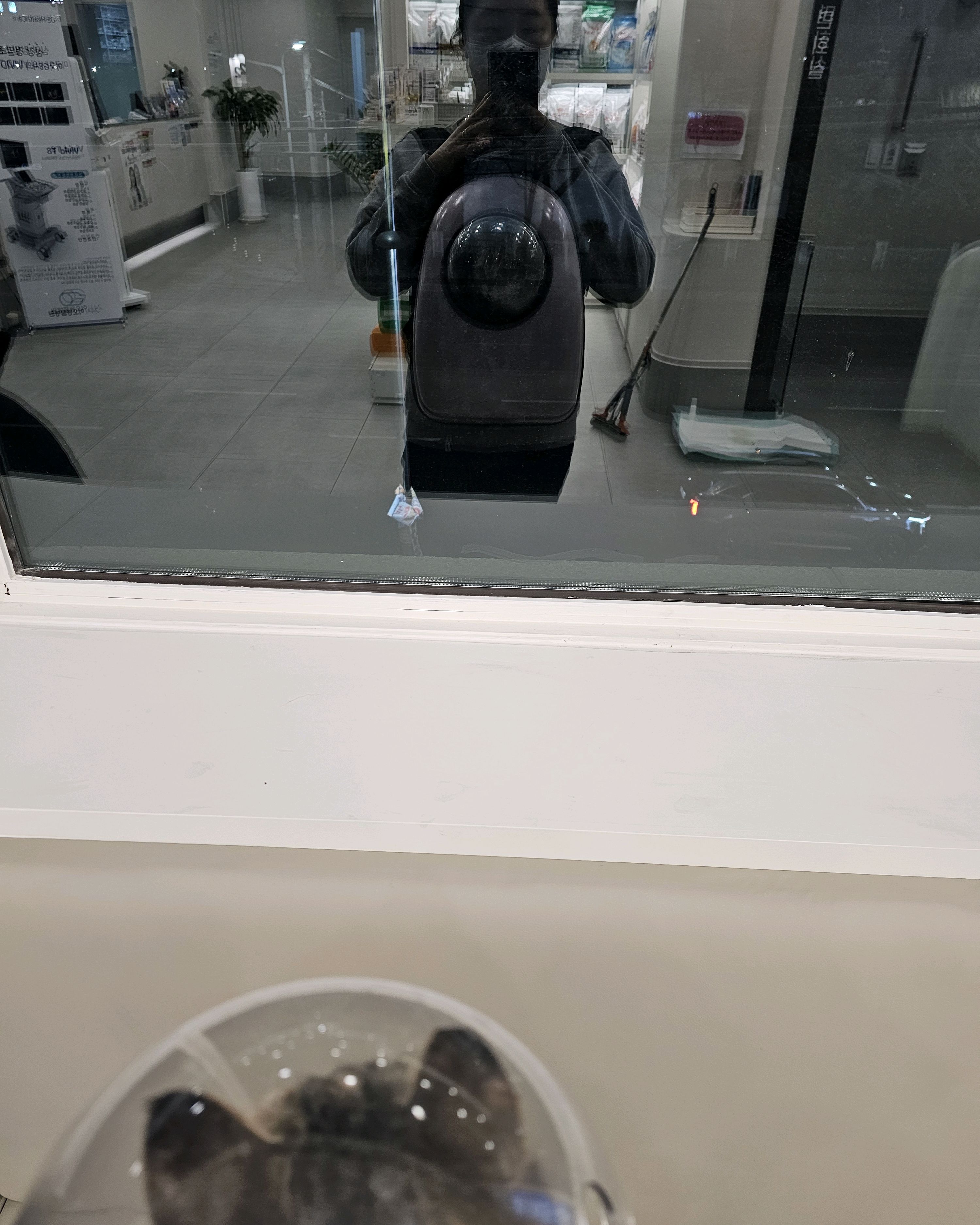 24시 이오동물병원 사진 2