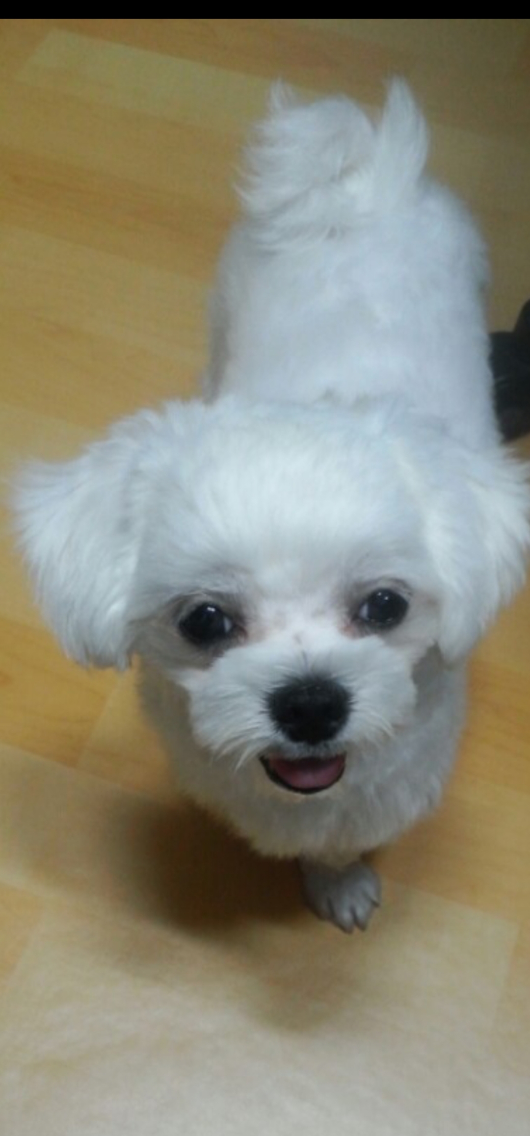 리뷰 사진 1